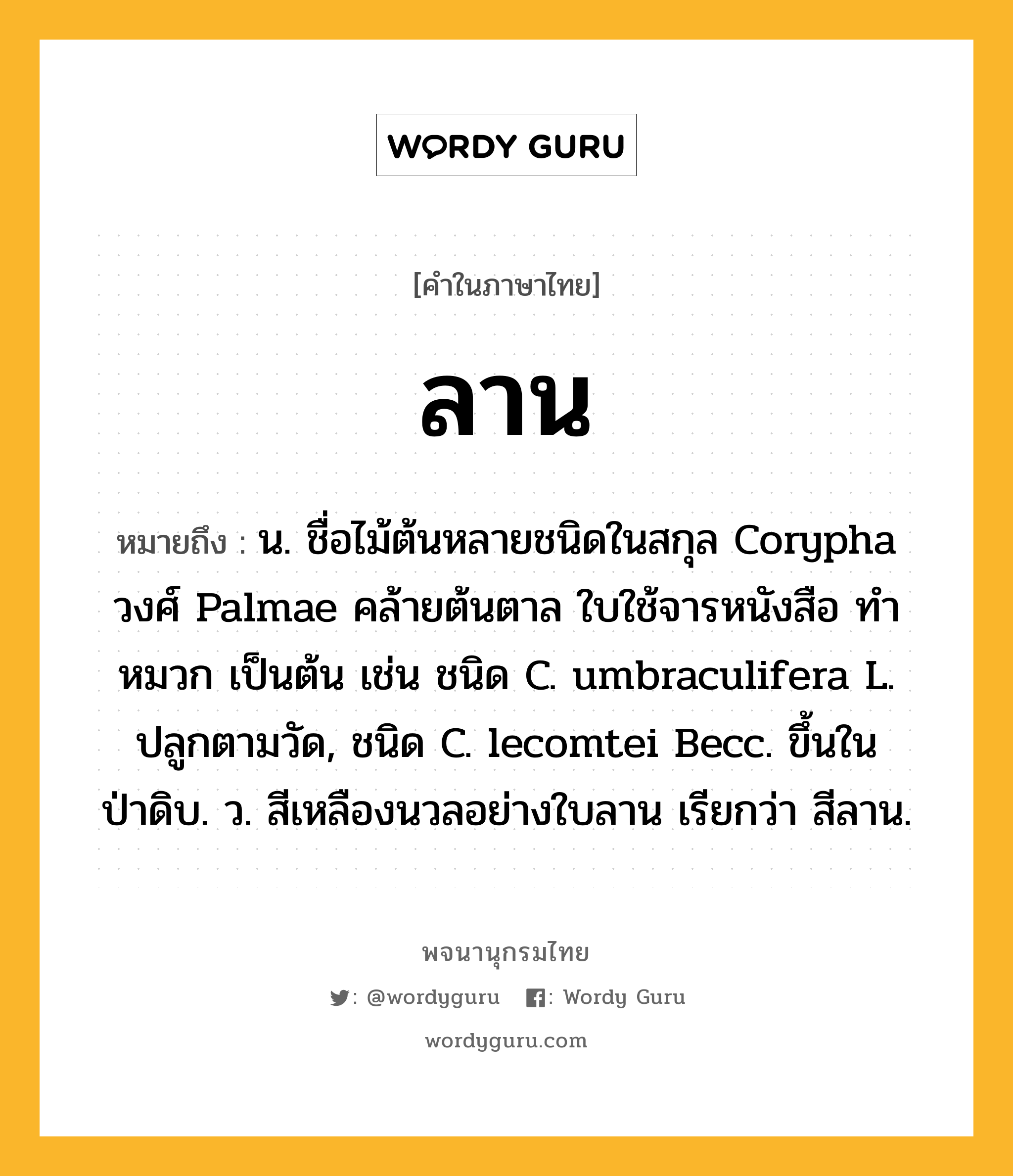 ลาน หมายถึงอะไร?, คำในภาษาไทย ลาน หมายถึง น. ชื่อไม้ต้นหลายชนิดในสกุล Corypha วงศ์ Palmae คล้ายต้นตาล ใบใช้จารหนังสือ ทําหมวก เป็นต้น เช่น ชนิด C. umbraculifera L. ปลูกตามวัด, ชนิด C. lecomtei Becc. ขึ้นในป่าดิบ. ว. สีเหลืองนวลอย่างใบลาน เรียกว่า สีลาน.