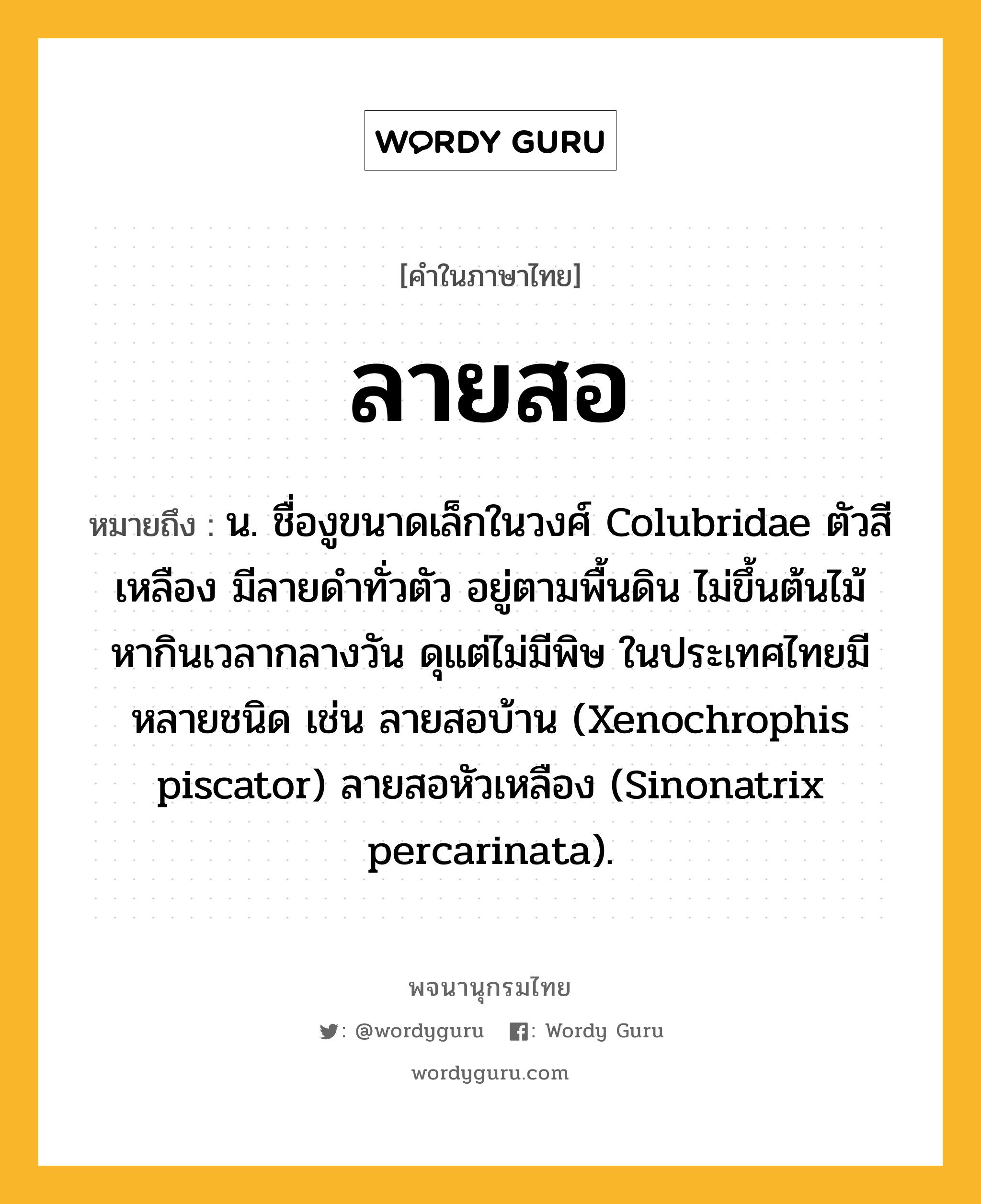 ลายสอ ความหมาย หมายถึงอะไร?, คำในภาษาไทย ลายสอ หมายถึง น. ชื่องูขนาดเล็กในวงศ์ Colubridae ตัวสีเหลือง มีลายดําทั่วตัว อยู่ตามพื้นดิน ไม่ขึ้นต้นไม้ หากินเวลากลางวัน ดุแต่ไม่มีพิษ ในประเทศไทยมีหลายชนิด เช่น ลายสอบ้าน (Xenochrophis piscator) ลายสอหัวเหลือง (Sinonatrix percarinata).