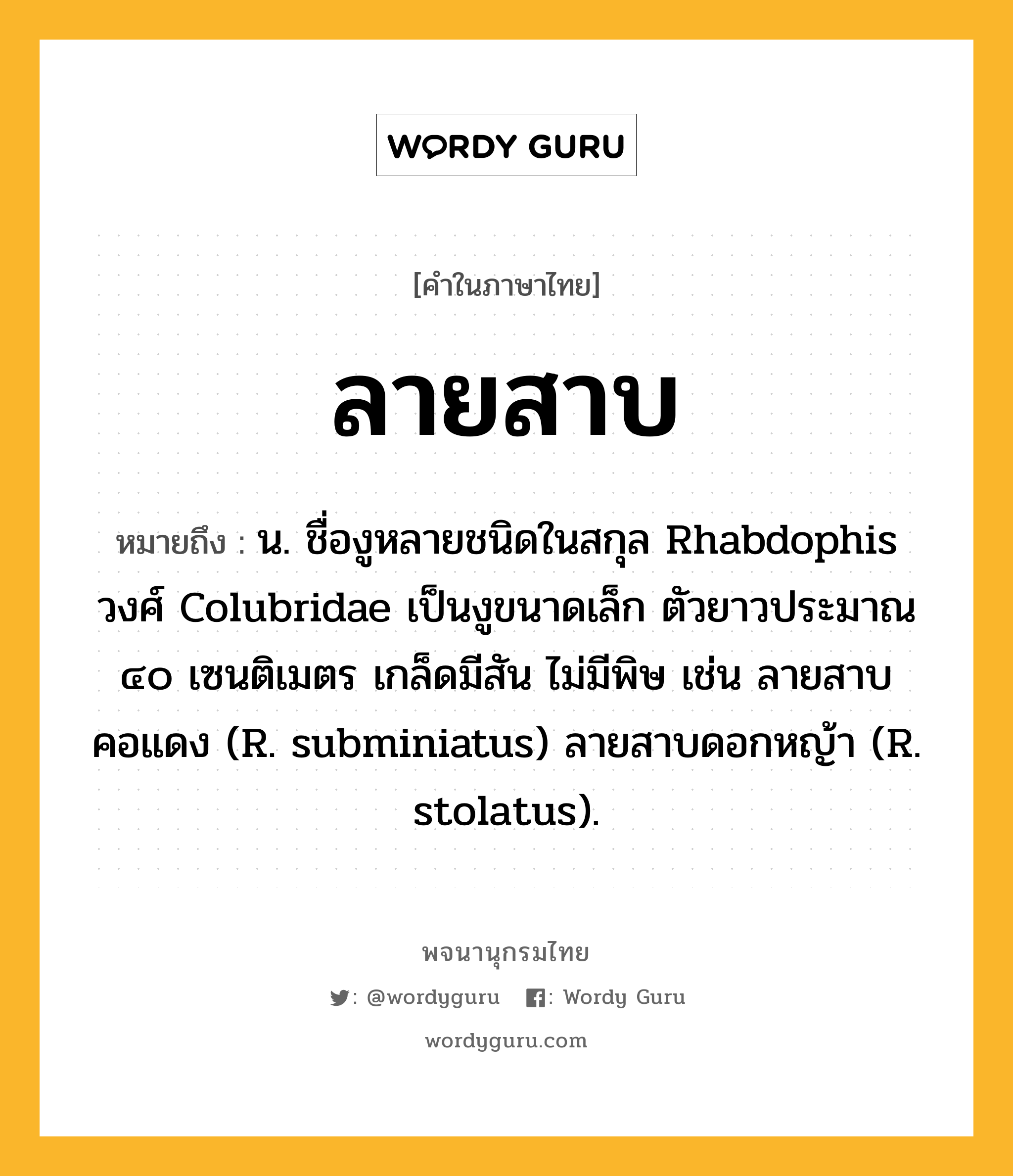 ลายสาบ ความหมาย หมายถึงอะไร?, คำในภาษาไทย ลายสาบ หมายถึง น. ชื่องูหลายชนิดในสกุล Rhabdophis วงศ์ Colubridae เป็นงูขนาดเล็ก ตัวยาวประมาณ ๔๐ เซนติเมตร เกล็ดมีสัน ไม่มีพิษ เช่น ลายสาบคอแดง (R. subminiatus) ลายสาบดอกหญ้า (R. stolatus).