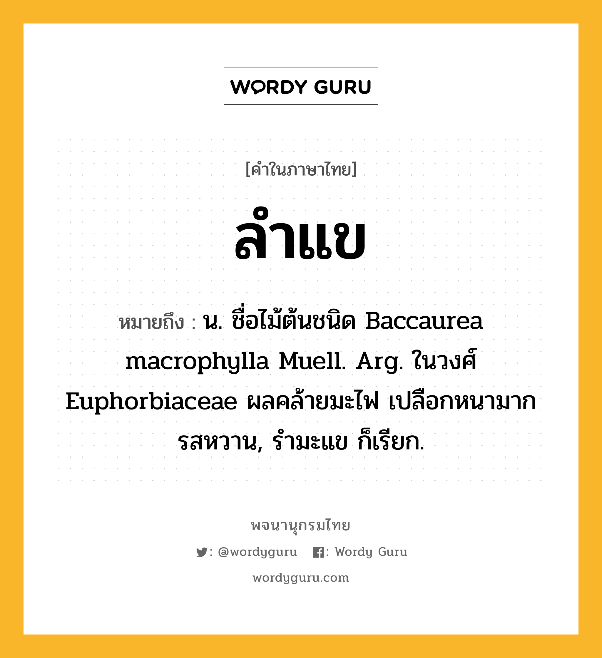 ลำแข หมายถึงอะไร?, คำในภาษาไทย ลำแข หมายถึง น. ชื่อไม้ต้นชนิด Baccaurea macrophylla Muell. Arg. ในวงศ์ Euphorbiaceae ผลคล้ายมะไฟ เปลือกหนามาก รสหวาน, รํามะแข ก็เรียก.