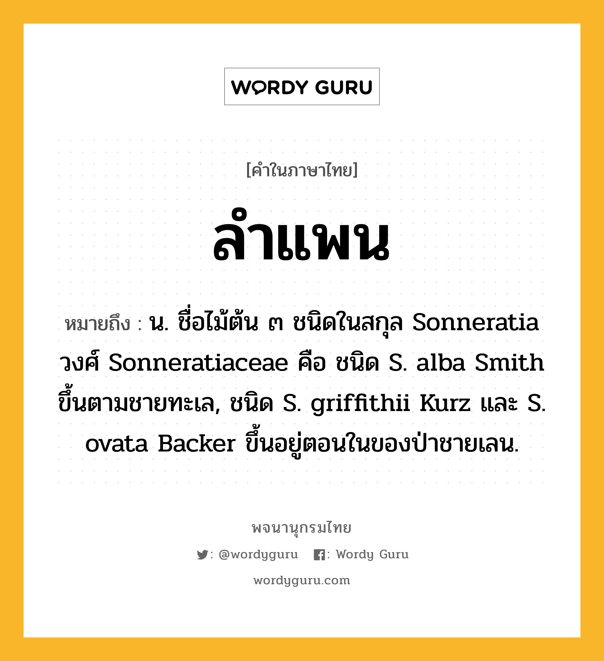 ลำแพน ความหมาย หมายถึงอะไร?, คำในภาษาไทย ลำแพน หมายถึง น. ชื่อไม้ต้น ๓ ชนิดในสกุล Sonneratia วงศ์ Sonneratiaceae คือ ชนิด S. alba Smith ขึ้นตามชายทะเล, ชนิด S. griffithii Kurz และ S. ovata Backer ขึ้นอยู่ตอนในของป่าชายเลน.