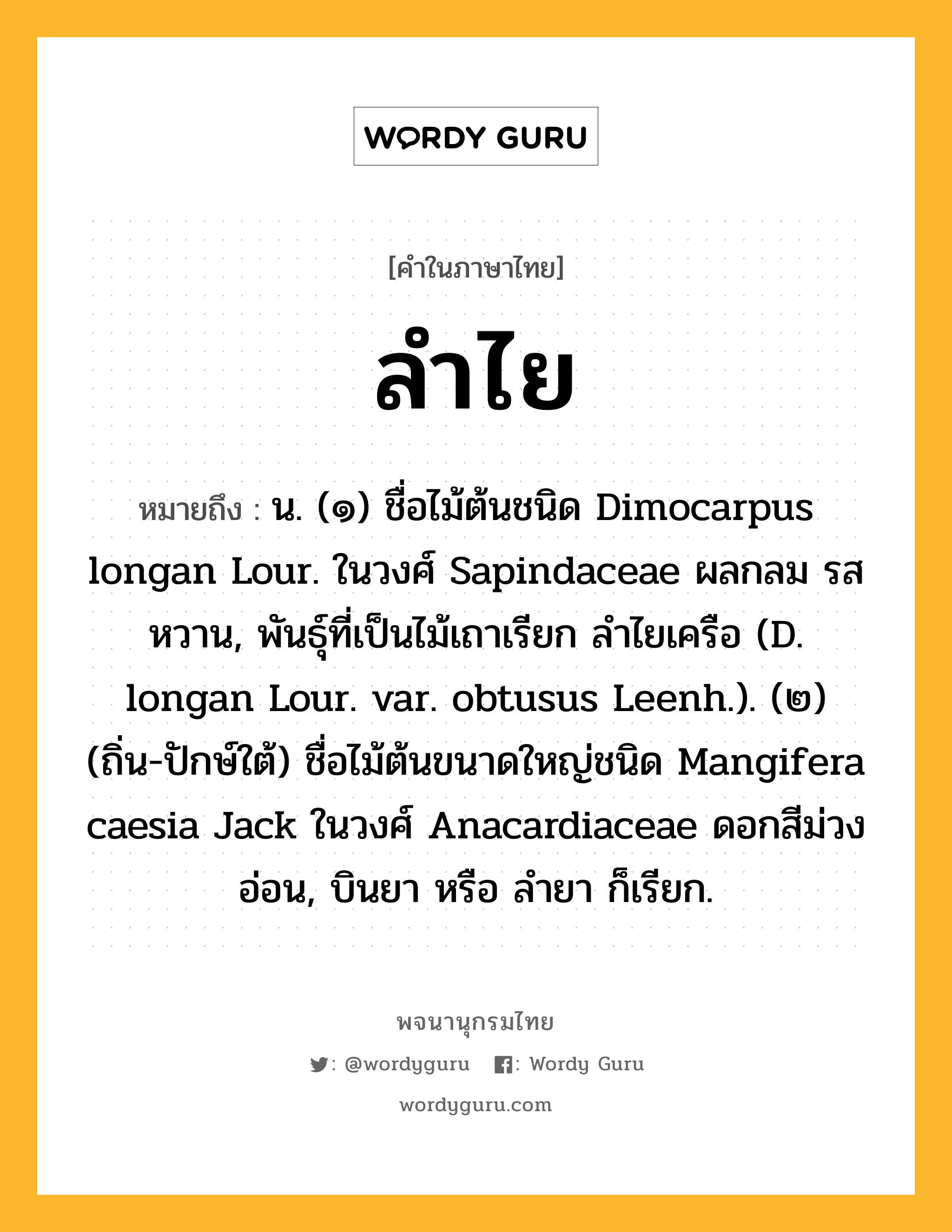 ลำไย หมายถึงอะไร?, คำในภาษาไทย ลำไย หมายถึง น. (๑) ชื่อไม้ต้นชนิด Dimocarpus longan Lour. ในวงศ์ Sapindaceae ผลกลม รสหวาน, พันธุ์ที่เป็นไม้เถาเรียก ลําไยเครือ (D. longan Lour. var. obtusus Leenh.). (๒) (ถิ่น-ปักษ์ใต้) ชื่อไม้ต้นขนาดใหญ่ชนิด Mangifera caesia Jack ในวงศ์ Anacardiaceae ดอกสีม่วงอ่อน, บินยา หรือ ลํายา ก็เรียก.