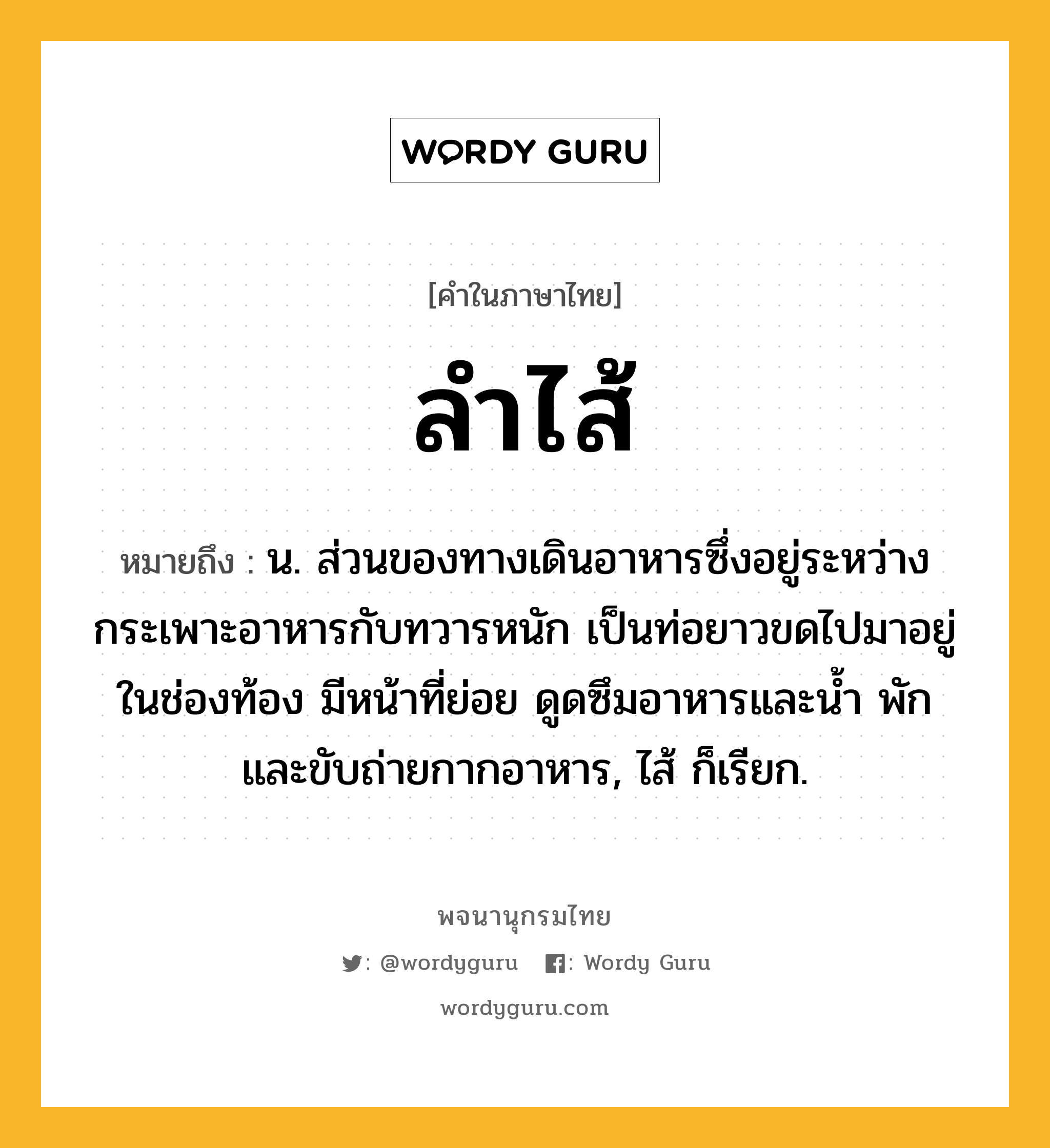 ลำไส้ หมายถึงอะไร?, คำในภาษาไทย ลำไส้ หมายถึง น. ส่วนของทางเดินอาหารซึ่งอยู่ระหว่างกระเพาะอาหารกับทวารหนัก เป็นท่อยาวขดไปมาอยู่ในช่องท้อง มีหน้าที่ย่อย ดูดซึมอาหารและน้ำ พักและขับถ่ายกากอาหาร, ไส้ ก็เรียก.