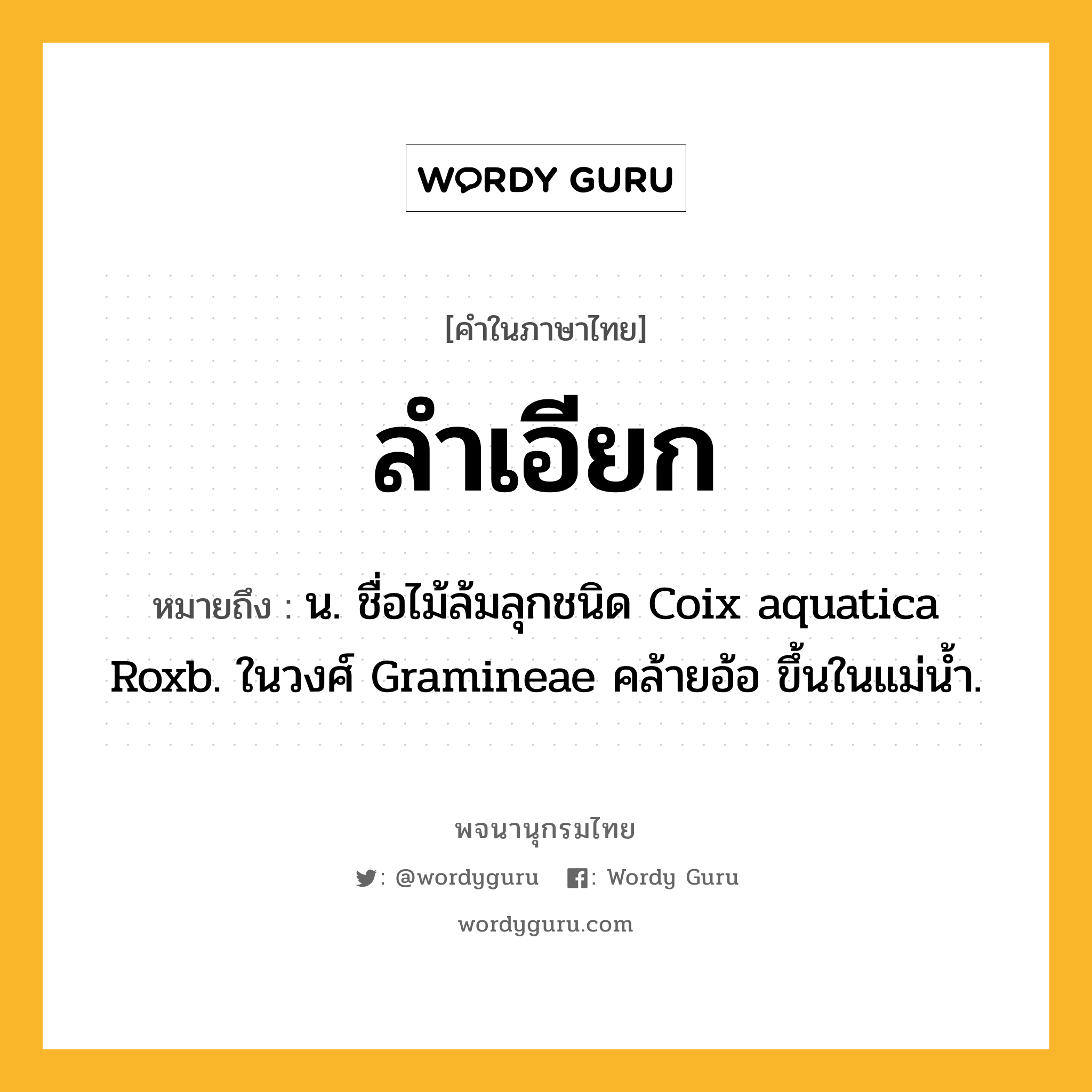 ลำเอียก หมายถึงอะไร?, คำในภาษาไทย ลำเอียก หมายถึง น. ชื่อไม้ล้มลุกชนิด Coix aquatica Roxb. ในวงศ์ Gramineae คล้ายอ้อ ขึ้นในแม่นํ้า.