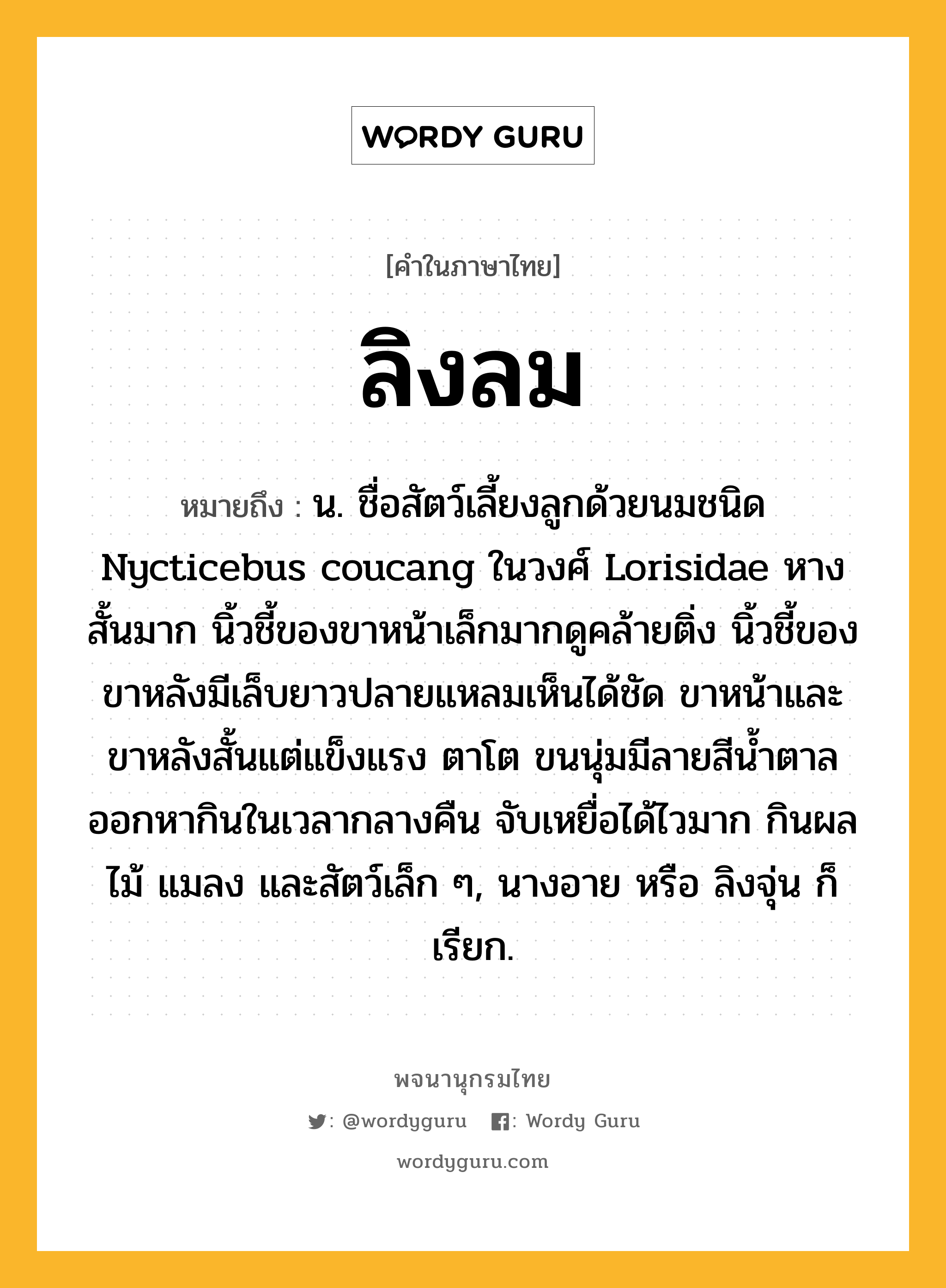 ลิงลม ความหมาย หมายถึงอะไร?, คำในภาษาไทย ลิงลม หมายถึง น. ชื่อสัตว์เลี้ยงลูกด้วยนมชนิด Nycticebus coucang ในวงศ์ Lorisidae หางสั้นมาก นิ้วชี้ของขาหน้าเล็กมากดูคล้ายติ่ง นิ้วชี้ของขาหลังมีเล็บยาวปลายแหลมเห็นได้ชัด ขาหน้าและขาหลังสั้นแต่แข็งแรง ตาโต ขนนุ่มมีลายสีนํ้าตาล ออกหากินในเวลากลางคืน จับเหยื่อได้ไวมาก กินผลไม้ แมลง และสัตว์เล็ก ๆ, นางอาย หรือ ลิงจุ่น ก็เรียก.