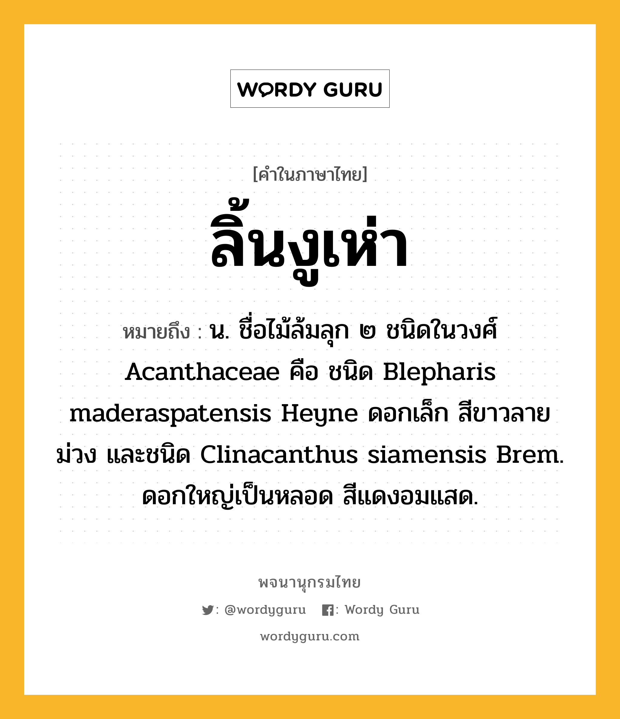 ลิ้นงูเห่า ความหมาย หมายถึงอะไร?, คำในภาษาไทย ลิ้นงูเห่า หมายถึง น. ชื่อไม้ล้มลุก ๒ ชนิดในวงศ์ Acanthaceae คือ ชนิด Blepharis maderaspatensis Heyne ดอกเล็ก สีขาวลายม่วง และชนิด Clinacanthus siamensis Brem. ดอกใหญ่เป็นหลอด สีแดงอมแสด.