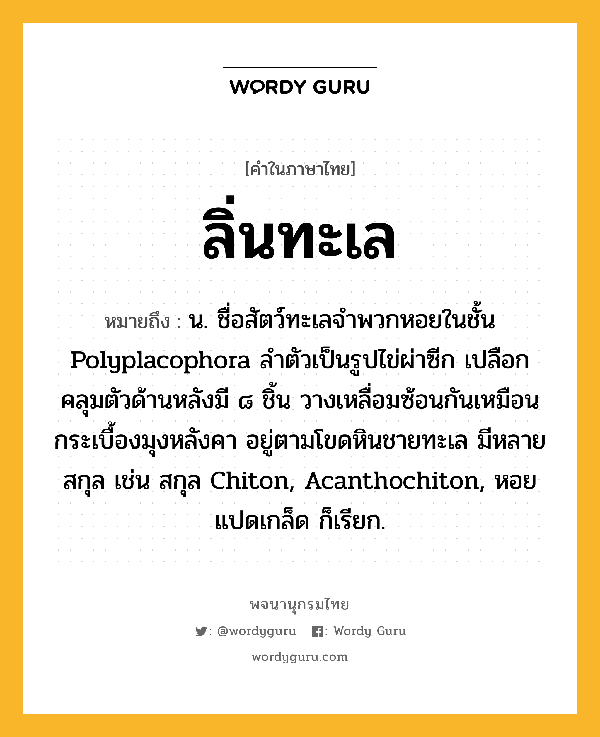 ลิ่นทะเล หมายถึงอะไร?, คำในภาษาไทย ลิ่นทะเล หมายถึง น. ชื่อสัตว์ทะเลจําพวกหอยในชั้น Polyplacophora ลําตัวเป็นรูปไข่ผ่าซีก เปลือกคลุมตัวด้านหลังมี ๘ ชิ้น วางเหลื่อมซ้อนกันเหมือนกระเบื้องมุงหลังคา อยู่ตามโขดหินชายทะเล มีหลายสกุล เช่น สกุล Chiton, Acanthochiton, หอยแปดเกล็ด ก็เรียก.