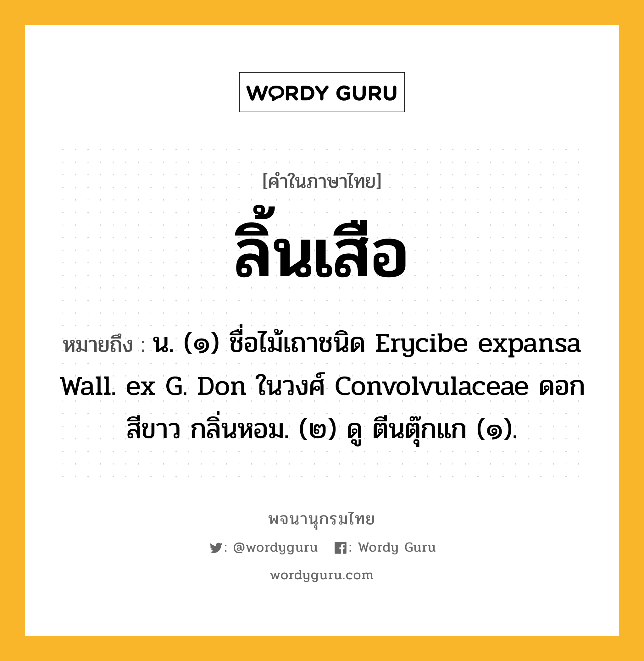 ลิ้นเสือ หมายถึงอะไร?, คำในภาษาไทย ลิ้นเสือ หมายถึง น. (๑) ชื่อไม้เถาชนิด Erycibe expansa Wall. ex G. Don ในวงศ์ Convolvulaceae ดอกสีขาว กลิ่นหอม. (๒) ดู ตีนตุ๊กแก (๑).