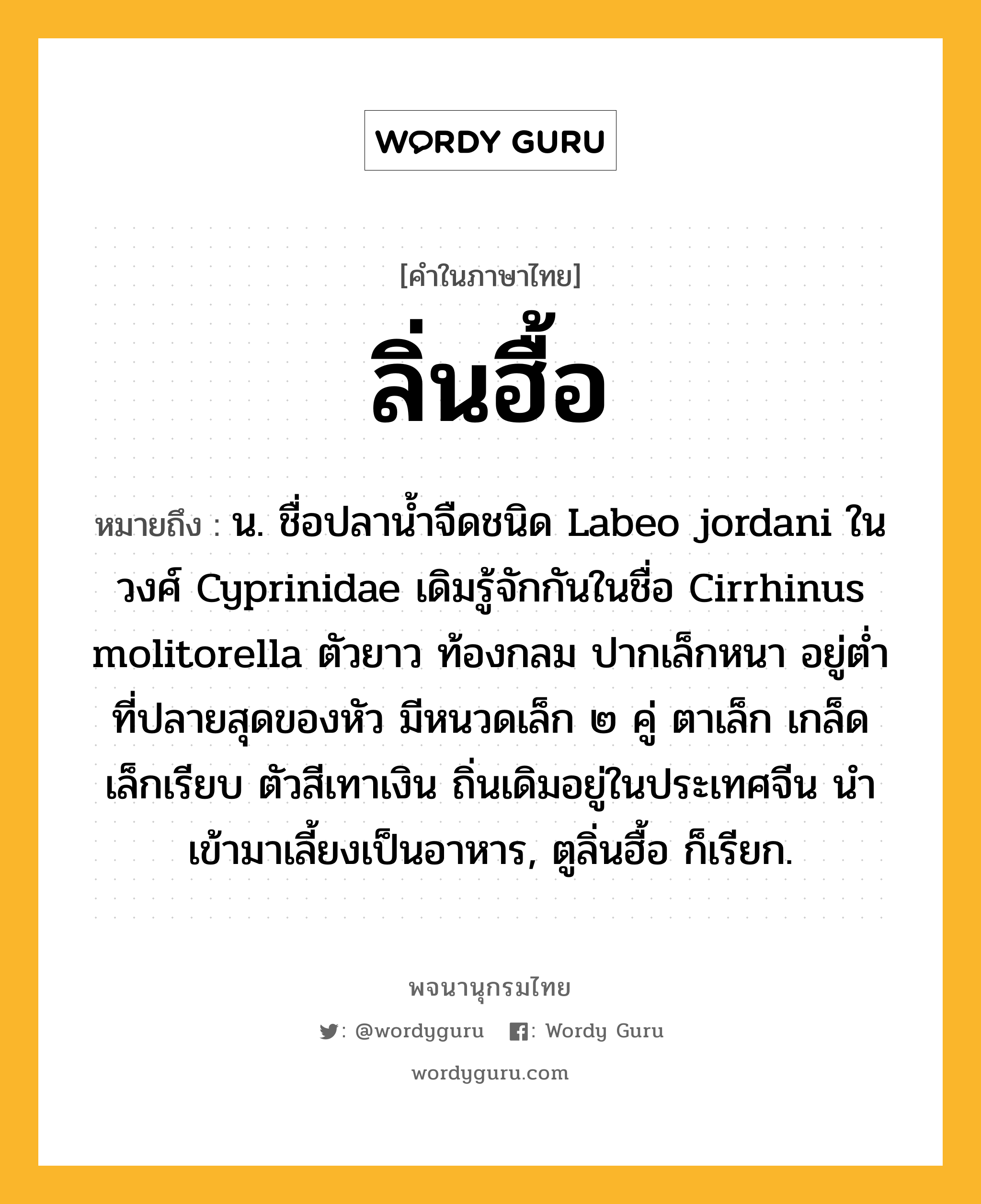 ลิ่นฮื้อ ความหมาย หมายถึงอะไร?, คำในภาษาไทย ลิ่นฮื้อ หมายถึง น. ชื่อปลาน้ำจืดชนิด Labeo jordani ในวงศ์ Cyprinidae เดิมรู้จักกันในชื่อ Cirrhinus molitorella ตัวยาว ท้องกลม ปากเล็กหนา อยู่ตํ่าที่ปลายสุดของหัว มีหนวดเล็ก ๒ คู่ ตาเล็ก เกล็ดเล็กเรียบ ตัวสีเทาเงิน ถิ่นเดิมอยู่ในประเทศจีน นําเข้ามาเลี้ยงเป็นอาหาร, ตูลิ่นฮื้อ ก็เรียก.