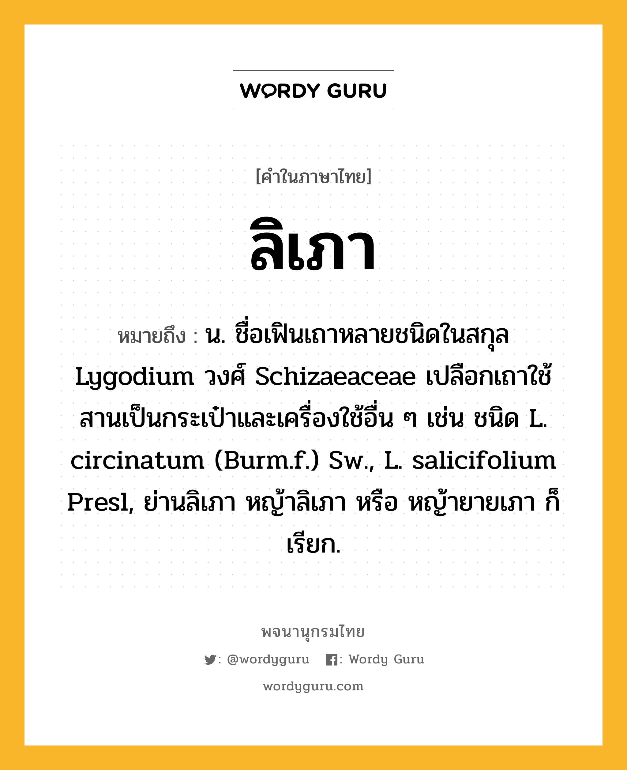 ลิเภา หมายถึงอะไร?, คำในภาษาไทย ลิเภา หมายถึง น. ชื่อเฟินเถาหลายชนิดในสกุล Lygodium วงศ์ Schizaeaceae เปลือกเถาใช้สานเป็นกระเป๋าและเครื่องใช้อื่น ๆ เช่น ชนิด L. circinatum (Burm.f.) Sw., L. salicifolium Presl, ย่านลิเภา หญ้าลิเภา หรือ หญ้ายายเภา ก็เรียก.