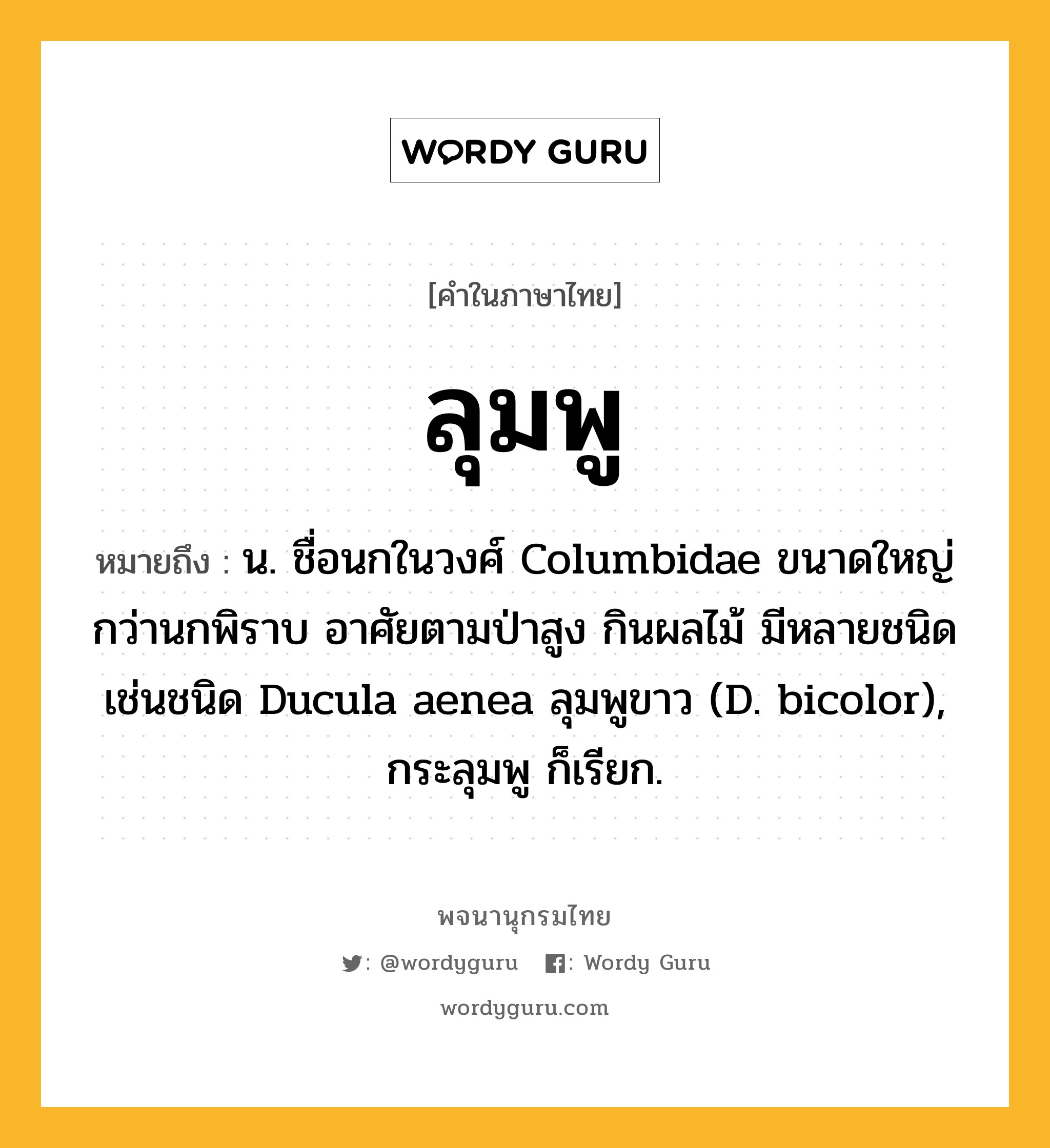 ลุมพู หมายถึงอะไร?, คำในภาษาไทย ลุมพู หมายถึง น. ชื่อนกในวงศ์ Columbidae ขนาดใหญ่กว่านกพิราบ อาศัยตามป่าสูง กินผลไม้ มีหลายชนิด เช่นชนิด Ducula aenea ลุมพูขาว (D. bicolor), กระลุมพู ก็เรียก.