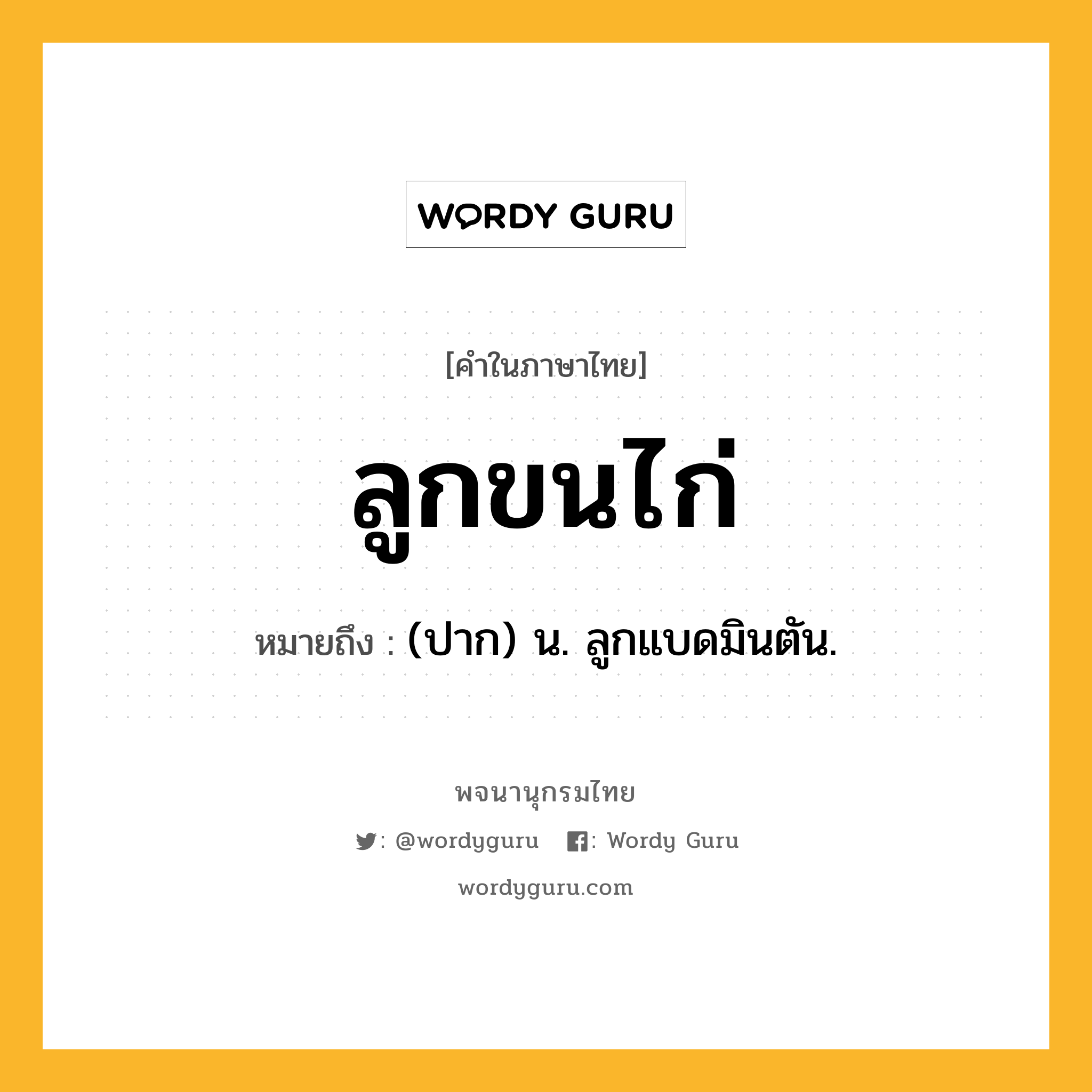 ลูกขนไก่ ความหมาย หมายถึงอะไร?, คำในภาษาไทย ลูกขนไก่ หมายถึง (ปาก) น. ลูกแบดมินตัน.