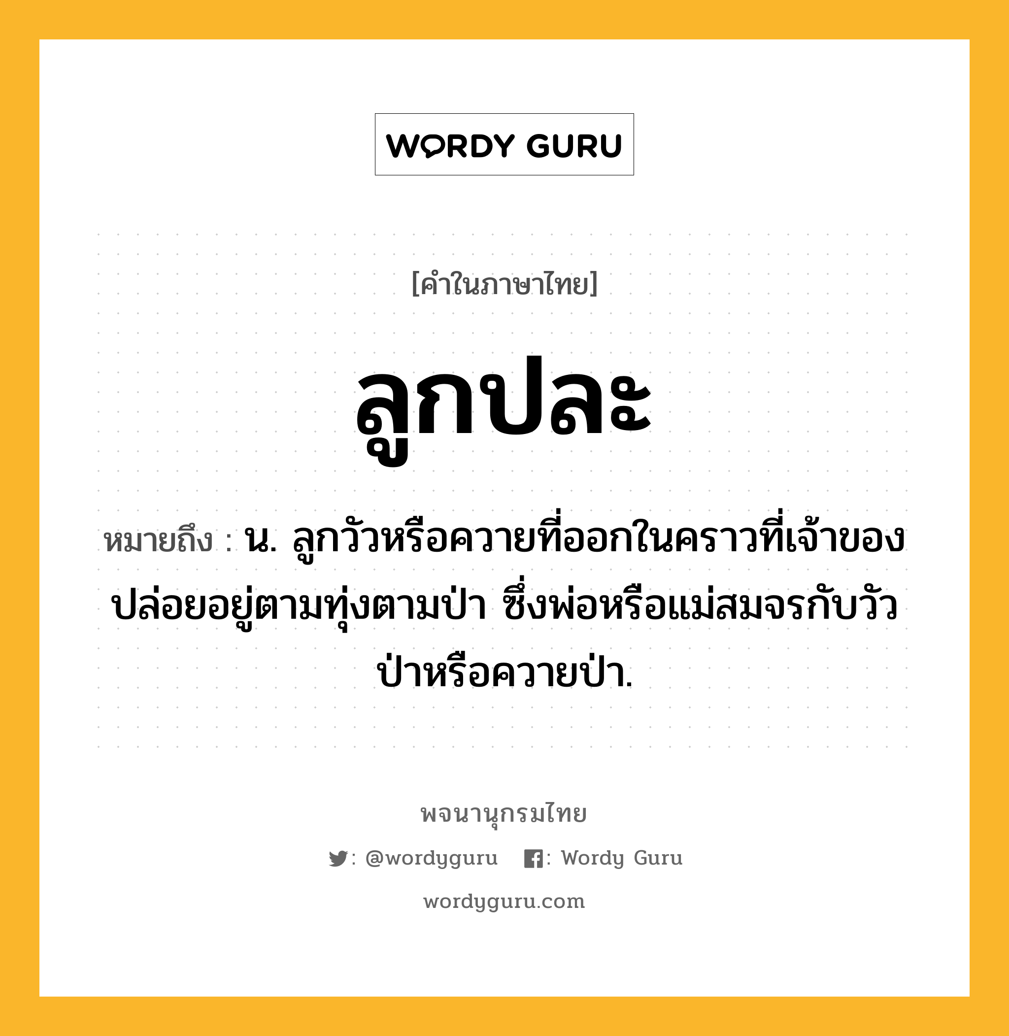 ลูกปละ ความหมาย หมายถึงอะไร?, คำในภาษาไทย ลูกปละ หมายถึง น. ลูกวัวหรือควายที่ออกในคราวที่เจ้าของปล่อยอยู่ตามทุ่งตามป่า ซึ่งพ่อหรือแม่สมจรกับวัวป่าหรือควายป่า.