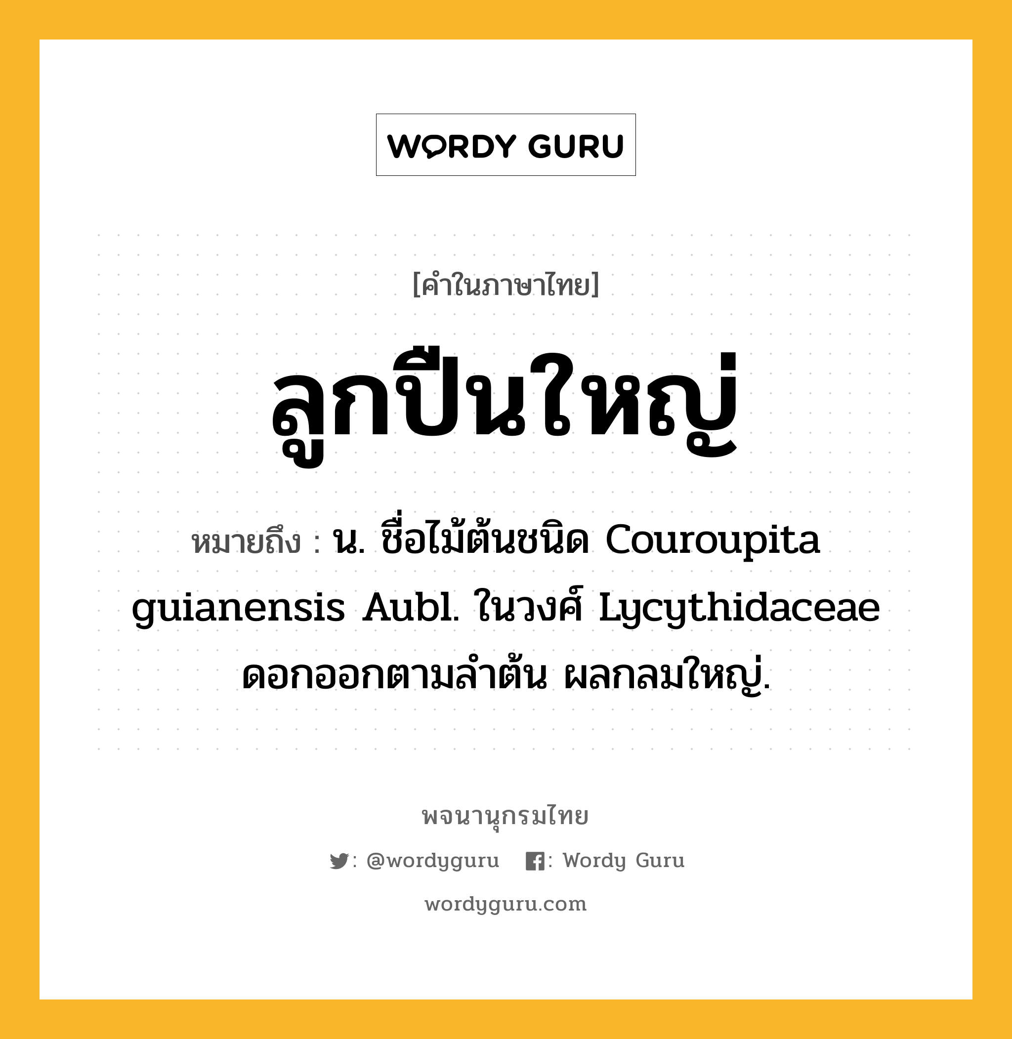 ลูกปืนใหญ่ หมายถึงอะไร?, คำในภาษาไทย ลูกปืนใหญ่ หมายถึง น. ชื่อไม้ต้นชนิด Couroupita guianensis Aubl. ในวงศ์ Lycythidaceae ดอกออกตามลําต้น ผลกลมใหญ่.