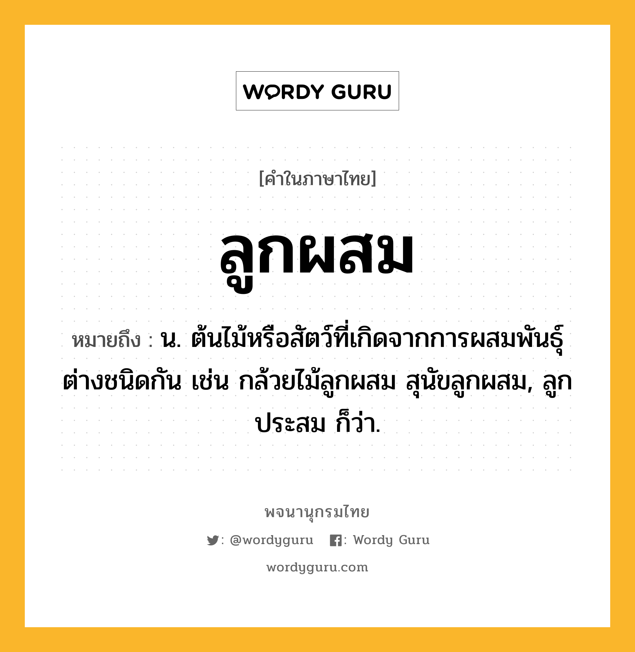 ลูกผสม หมายถึงอะไร?, คำในภาษาไทย ลูกผสม หมายถึง น. ต้นไม้หรือสัตว์ที่เกิดจากการผสมพันธุ์ต่างชนิดกัน เช่น กล้วยไม้ลูกผสม สุนัขลูกผสม, ลูกประสม ก็ว่า.