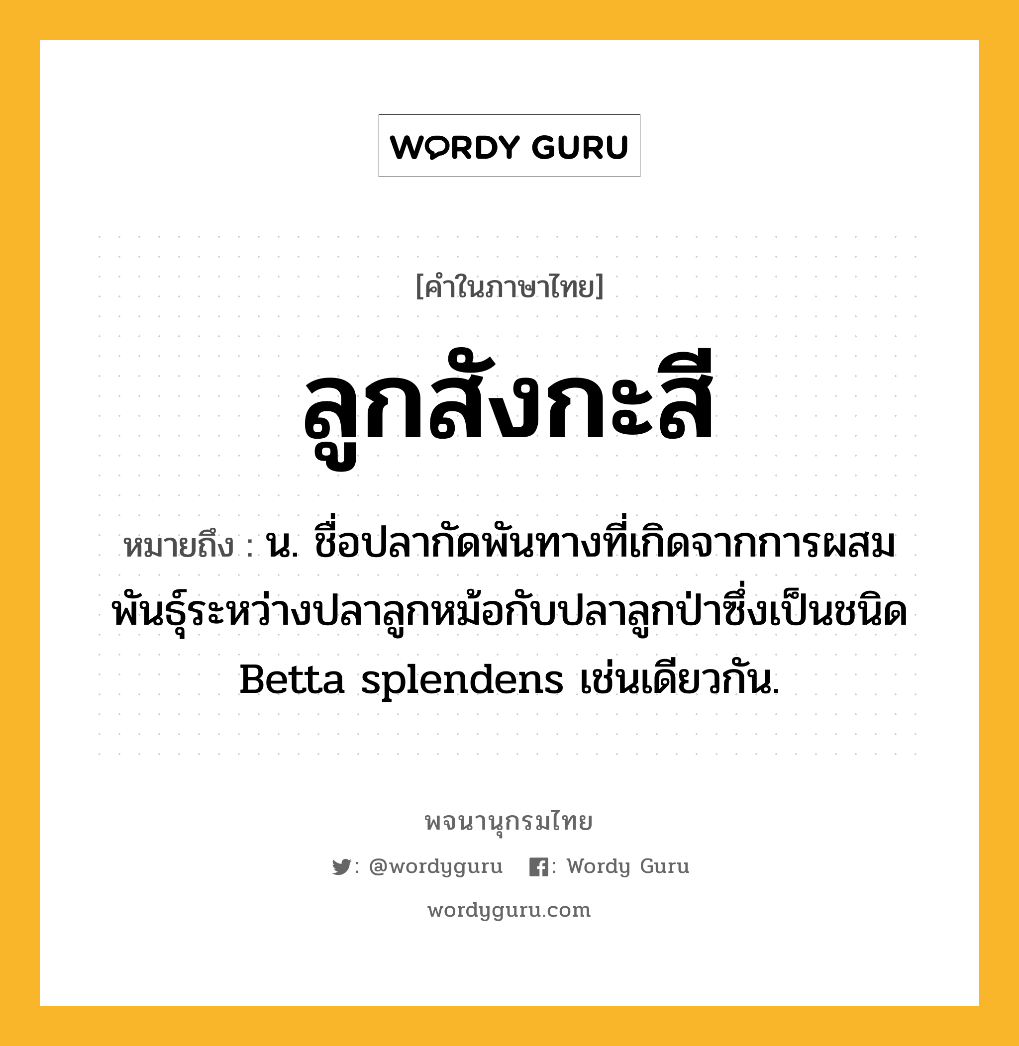 ลูกสังกะสี หมายถึงอะไร?, คำในภาษาไทย ลูกสังกะสี หมายถึง น. ชื่อปลากัดพันทางที่เกิดจากการผสมพันธุ์ระหว่างปลาลูกหม้อกับปลาลูกป่าซึ่งเป็นชนิด Betta splendens เช่นเดียวกัน.