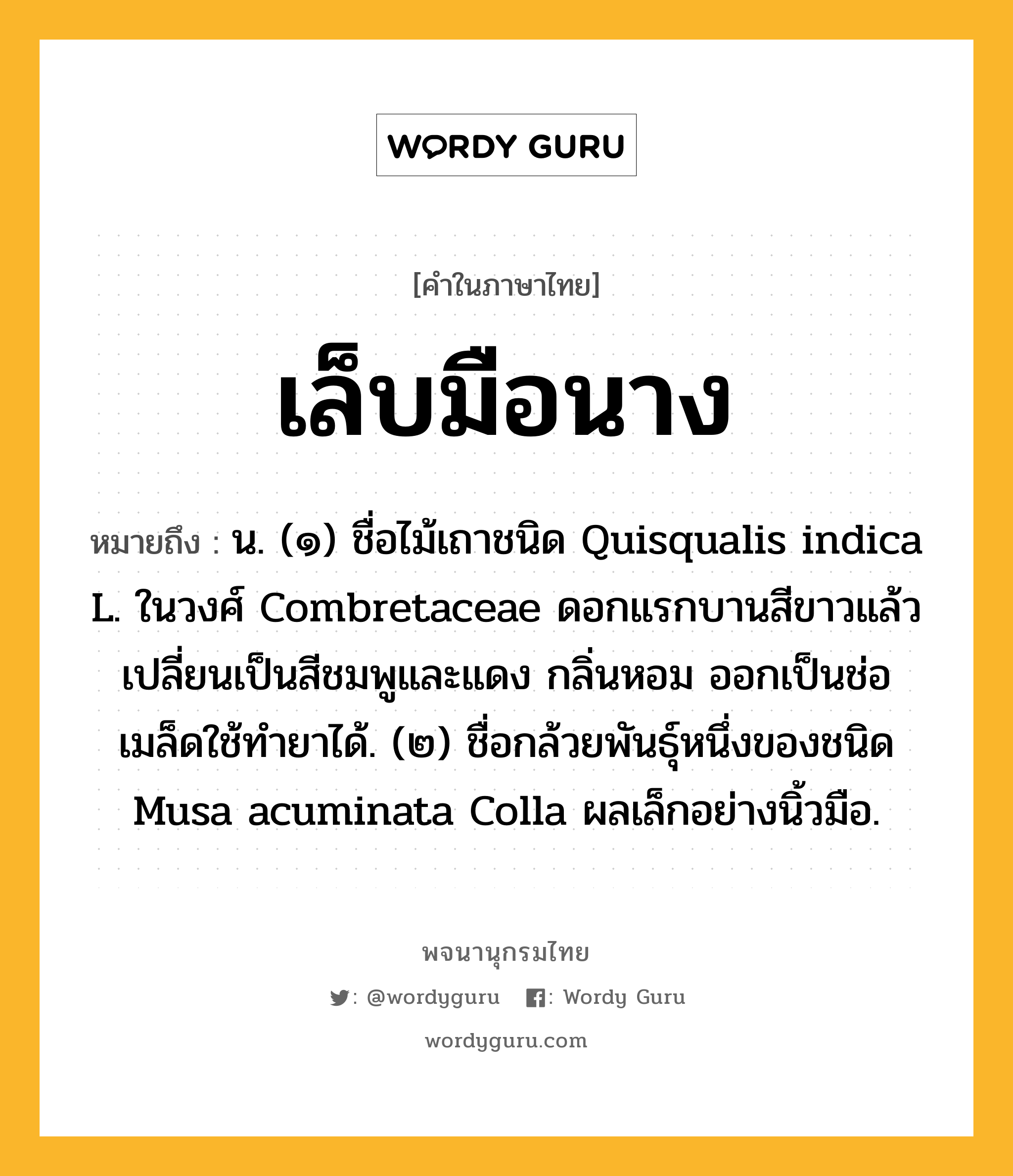 เล็บมือนาง หมายถึงอะไร?, คำในภาษาไทย เล็บมือนาง หมายถึง น. (๑) ชื่อไม้เถาชนิด Quisqualis indica L. ในวงศ์ Combretaceae ดอกแรกบานสีขาวแล้วเปลี่ยนเป็นสีชมพูและแดง กลิ่นหอม ออกเป็นช่อ เมล็ดใช้ทํายาได้. (๒) ชื่อกล้วยพันธุ์หนึ่งของชนิด Musa acuminata Colla ผลเล็กอย่างนิ้วมือ.