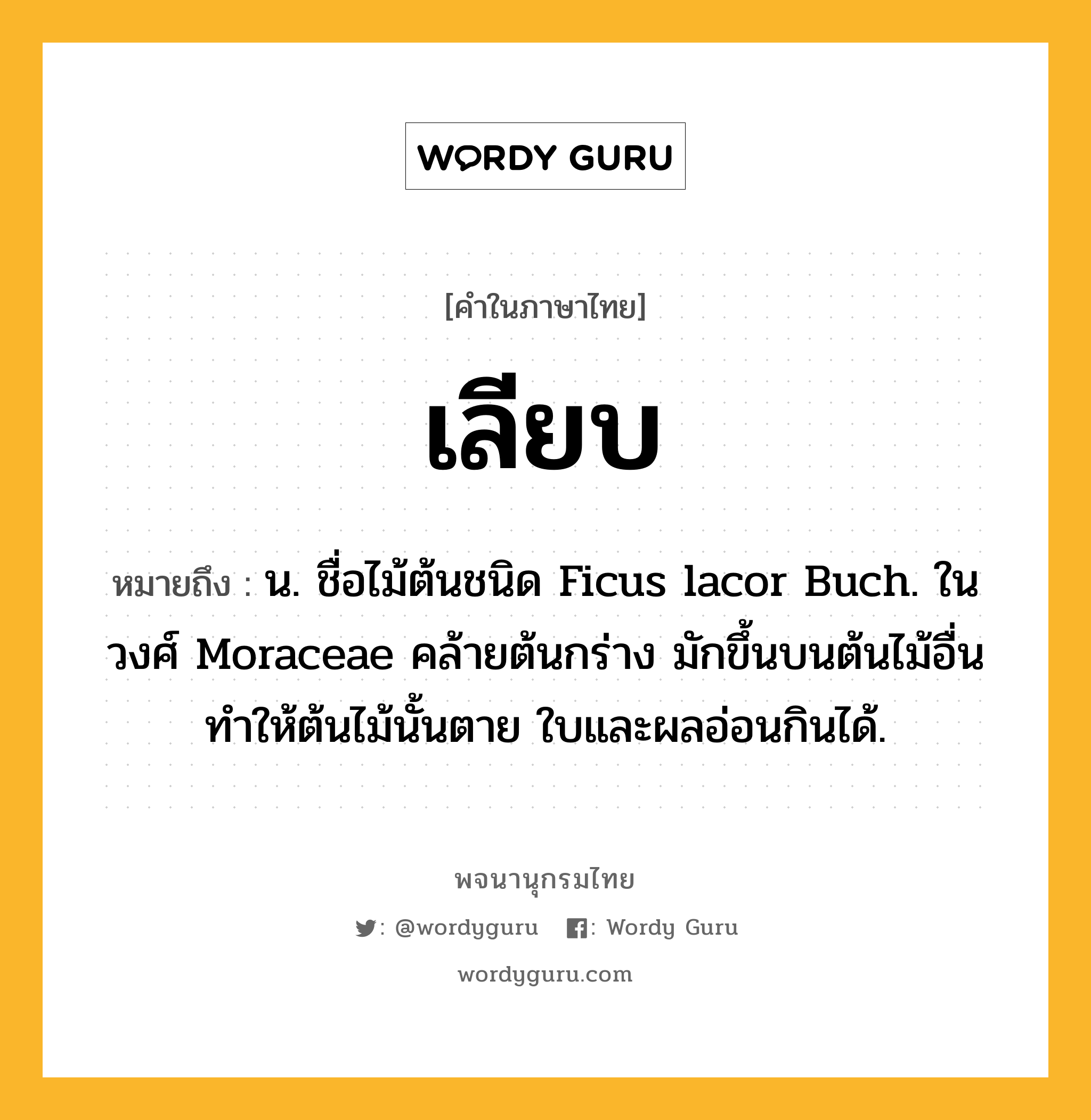 เลียบ หมายถึงอะไร?, คำในภาษาไทย เลียบ หมายถึง น. ชื่อไม้ต้นชนิด Ficus lacor Buch. ในวงศ์ Moraceae คล้ายต้นกร่าง มักขึ้นบนต้นไม้อื่นทําให้ต้นไม้นั้นตาย ใบและผลอ่อนกินได้.