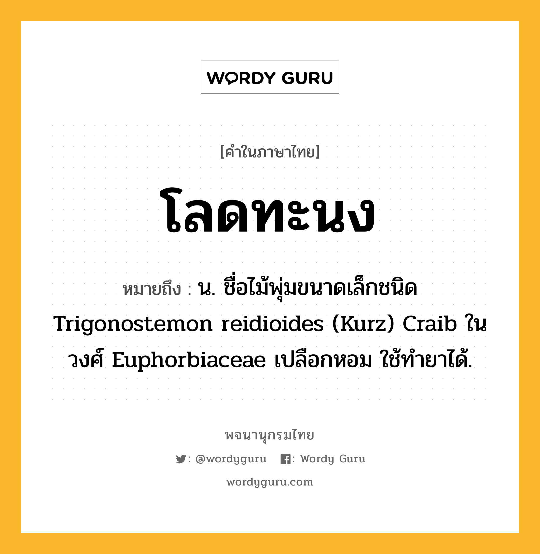 โลดทะนง หมายถึงอะไร?, คำในภาษาไทย โลดทะนง หมายถึง น. ชื่อไม้พุ่มขนาดเล็กชนิด Trigonostemon reidioides (Kurz) Craib ในวงศ์ Euphorbiaceae เปลือกหอม ใช้ทํายาได้.