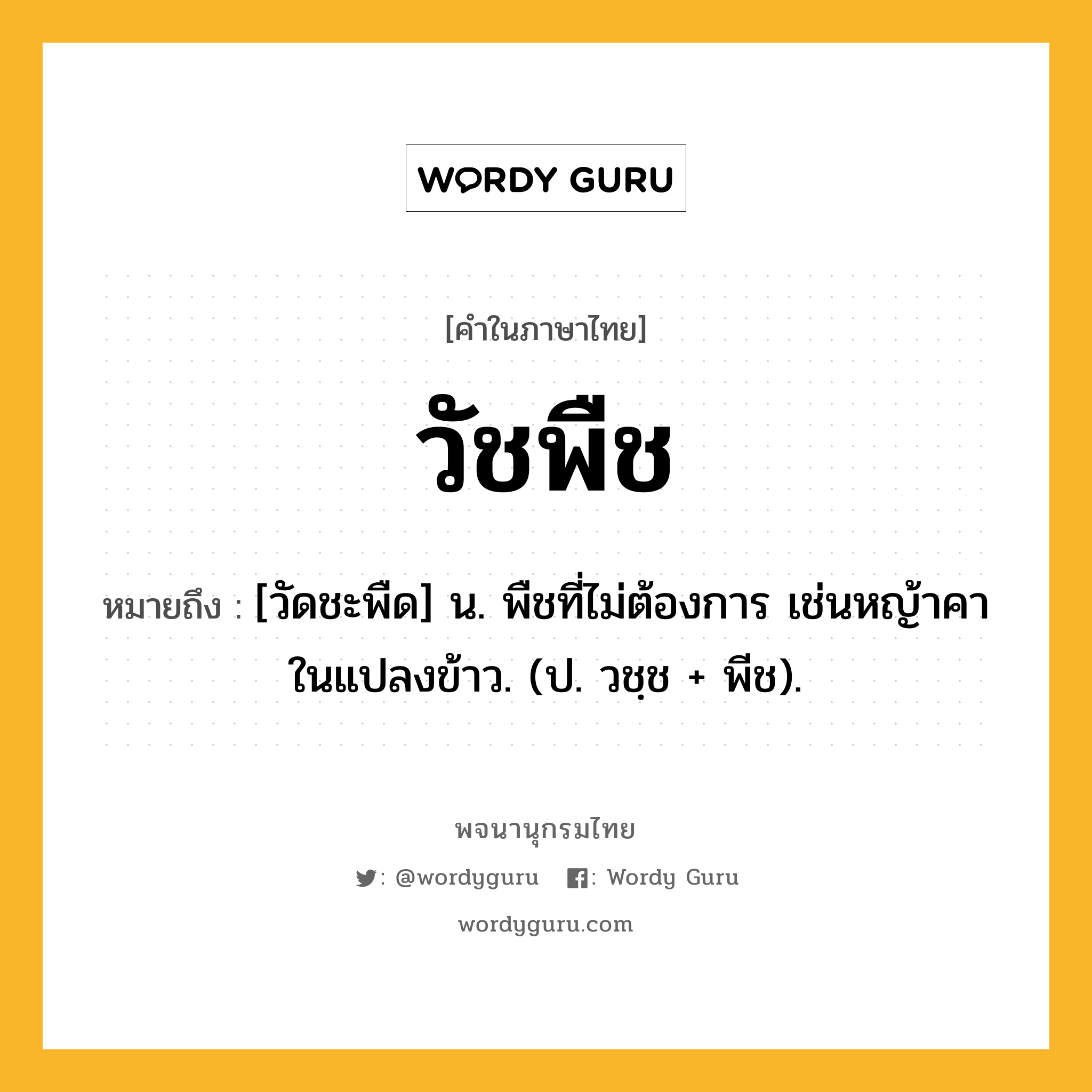 วัชพืช หมายถึงอะไร?, คำในภาษาไทย วัชพืช หมายถึง [วัดชะพืด] น. พืชที่ไม่ต้องการ เช่นหญ้าคาในแปลงข้าว. (ป. วชฺช + พีช).