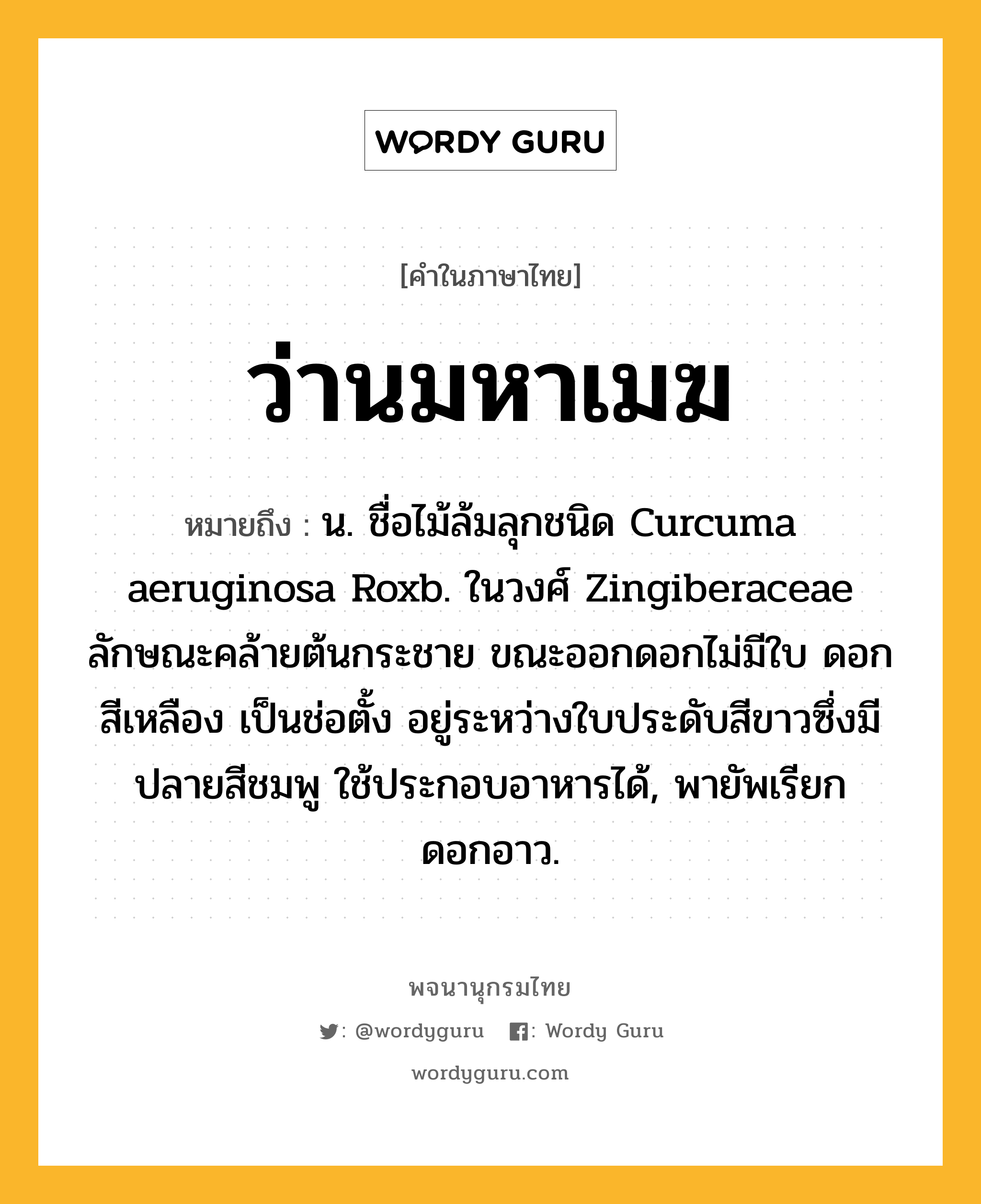 ว่านมหาเมฆ ความหมาย หมายถึงอะไร?, คำในภาษาไทย ว่านมหาเมฆ หมายถึง น. ชื่อไม้ล้มลุกชนิด Curcuma aeruginosa Roxb. ในวงศ์ Zingiberaceae ลักษณะคล้ายต้นกระชาย ขณะออกดอกไม่มีใบ ดอกสีเหลือง เป็นช่อตั้ง อยู่ระหว่างใบประดับสีขาวซึ่งมีปลายสีชมพู ใช้ประกอบอาหารได้, พายัพเรียก ดอกอาว.