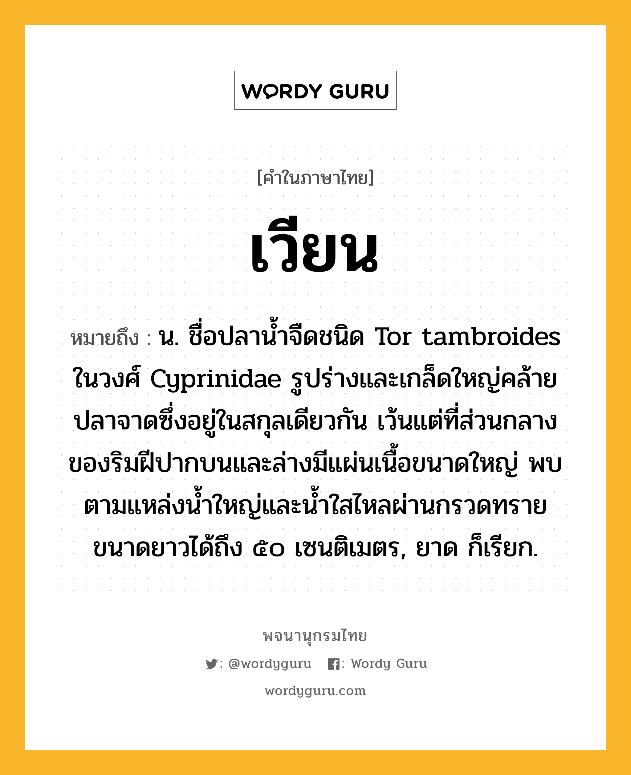 เวียน หมายถึงอะไร?, คำในภาษาไทย เวียน หมายถึง น. ชื่อปลานํ้าจืดชนิด Tor tambroides ในวงศ์ Cyprinidae รูปร่างและเกล็ดใหญ่คล้ายปลาจาดซึ่งอยู่ในสกุลเดียวกัน เว้นแต่ที่ส่วนกลางของริมฝีปากบนและล่างมีแผ่นเนื้อขนาดใหญ่ พบตามแหล่งนํ้าใหญ่และนํ้าใสไหลผ่านกรวดทราย ขนาดยาวได้ถึง ๕๐ เซนติเมตร, ยาด ก็เรียก.