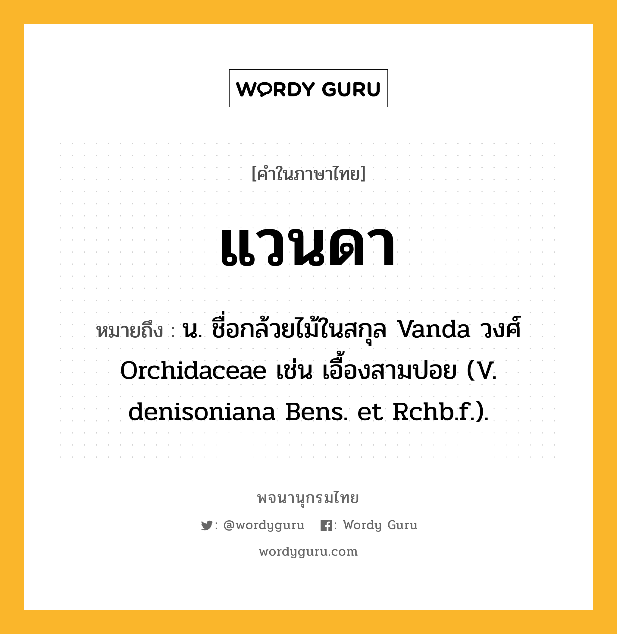 แวนดา หมายถึงอะไร?, คำในภาษาไทย แวนดา หมายถึง น. ชื่อกล้วยไม้ในสกุล Vanda วงศ์ Orchidaceae เช่น เอื้องสามปอย (V. denisoniana Bens. et Rchb.f.).