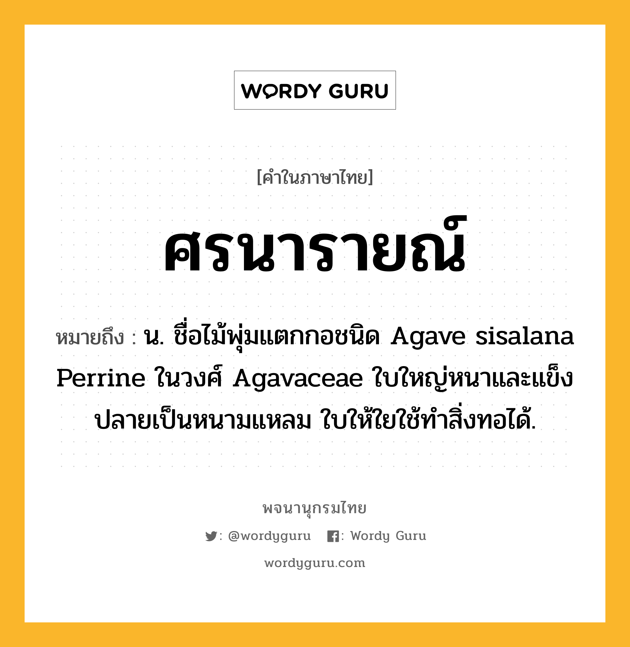 ศรนารายณ์ ความหมาย หมายถึงอะไร?, คำในภาษาไทย ศรนารายณ์ หมายถึง น. ชื่อไม้พุ่มแตกกอชนิด Agave sisalana Perrine ในวงศ์ Agavaceae ใบใหญ่หนาและแข็ง ปลายเป็นหนามแหลม ใบให้ใยใช้ทําสิ่งทอได้.