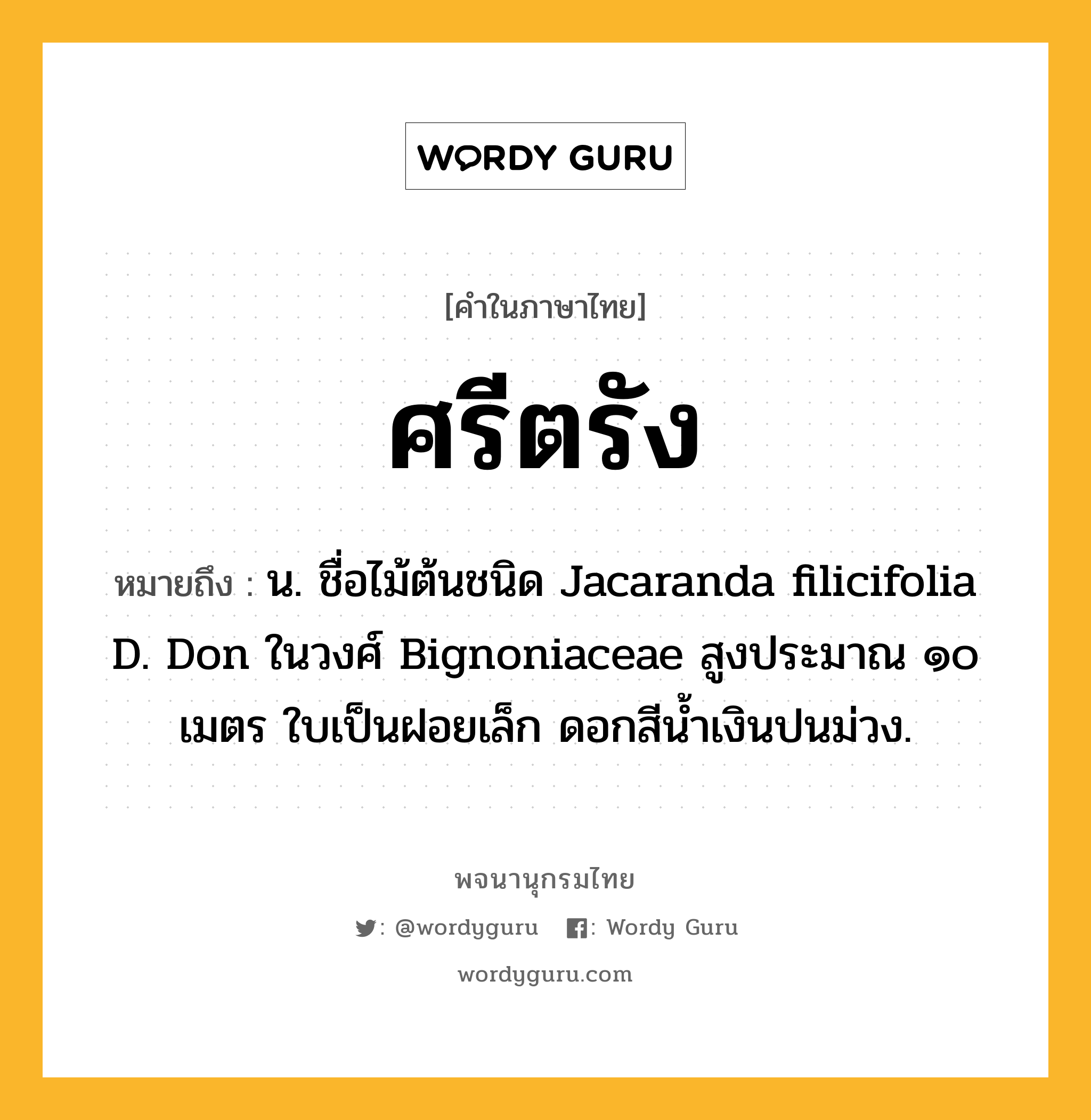 ศรีตรัง ความหมาย หมายถึงอะไร?, คำในภาษาไทย ศรีตรัง หมายถึง น. ชื่อไม้ต้นชนิด Jacaranda filicifolia D. Don ในวงศ์ Bignoniaceae สูงประมาณ ๑๐ เมตร ใบเป็นฝอยเล็ก ดอกสีนํ้าเงินปนม่วง.