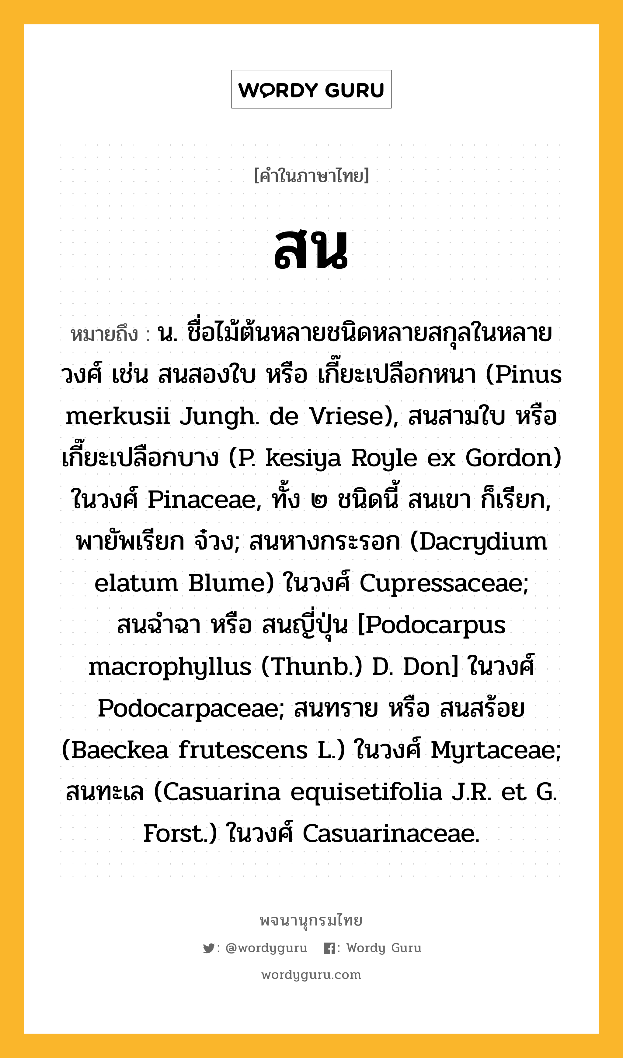 สน ความหมาย หมายถึงอะไร?, คำในภาษาไทย สน หมายถึง น. ชื่อไม้ต้นหลายชนิดหลายสกุลในหลายวงศ์ เช่น สนสองใบ หรือ เกี๊ยะเปลือกหนา (Pinus merkusii Jungh. de Vriese), สนสามใบ หรือ เกี๊ยะเปลือกบาง (P. kesiya Royle ex Gordon) ในวงศ์ Pinaceae, ทั้ง ๒ ชนิดนี้ สนเขา ก็เรียก, พายัพเรียก จ๋วง; สนหางกระรอก (Dacrydium elatum Blume) ในวงศ์ Cupressaceae; สนฉําฉา หรือ สนญี่ปุ่น [Podocarpus macrophyllus (Thunb.) D. Don] ในวงศ์ Podocarpaceae; สนทราย หรือ สนสร้อย (Baeckea frutescens L.) ในวงศ์ Myrtaceae; สนทะเล (Casuarina equisetifolia J.R. et G. Forst.) ในวงศ์ Casuarinaceae.