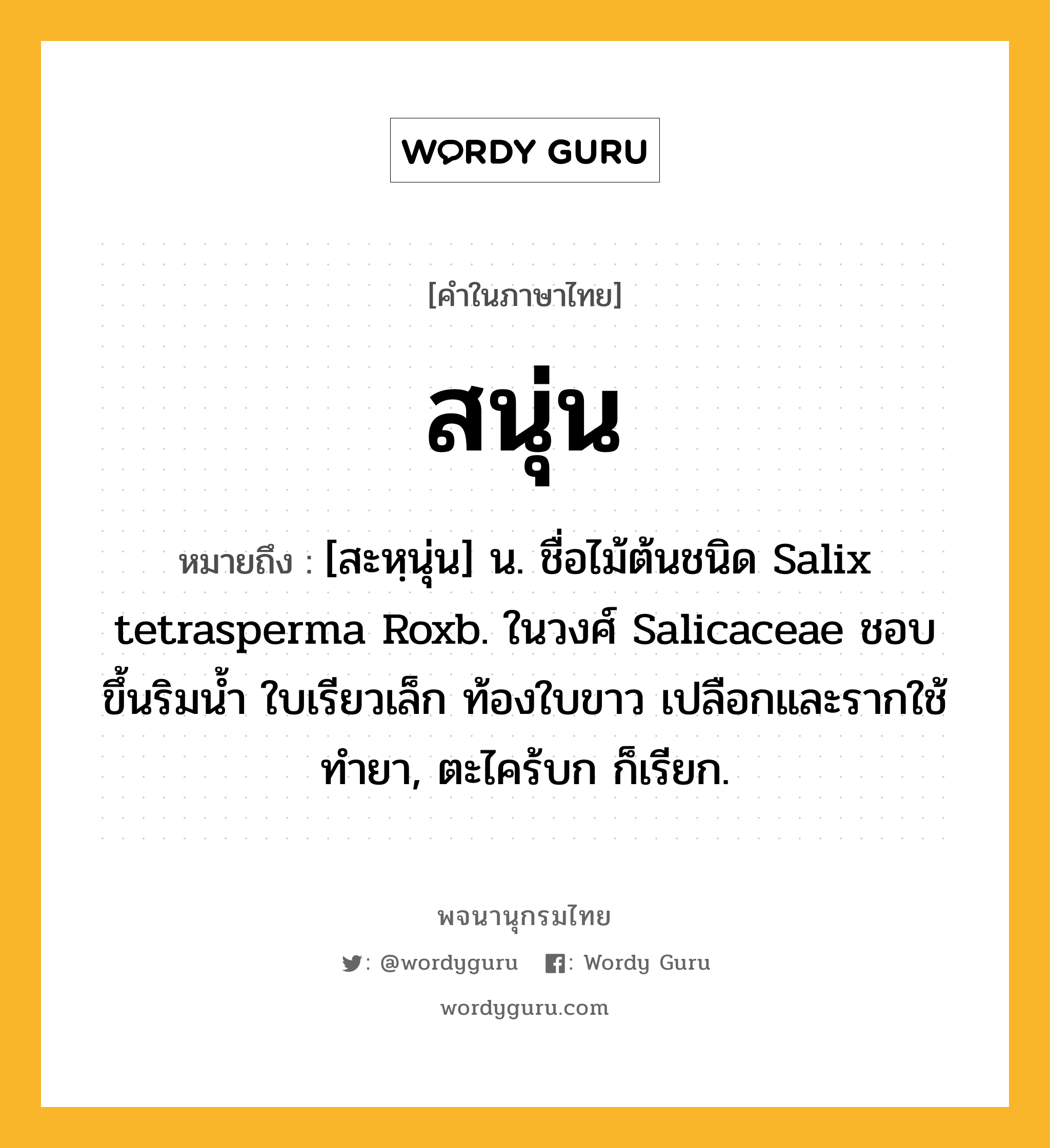 สนุ่น หมายถึงอะไร?, คำในภาษาไทย สนุ่น หมายถึง [สะหฺนุ่น] น. ชื่อไม้ต้นชนิด Salix tetrasperma Roxb. ในวงศ์ Salicaceae ชอบขึ้นริมนํ้า ใบเรียวเล็ก ท้องใบขาว เปลือกและรากใช้ทํายา, ตะไคร้บก ก็เรียก.