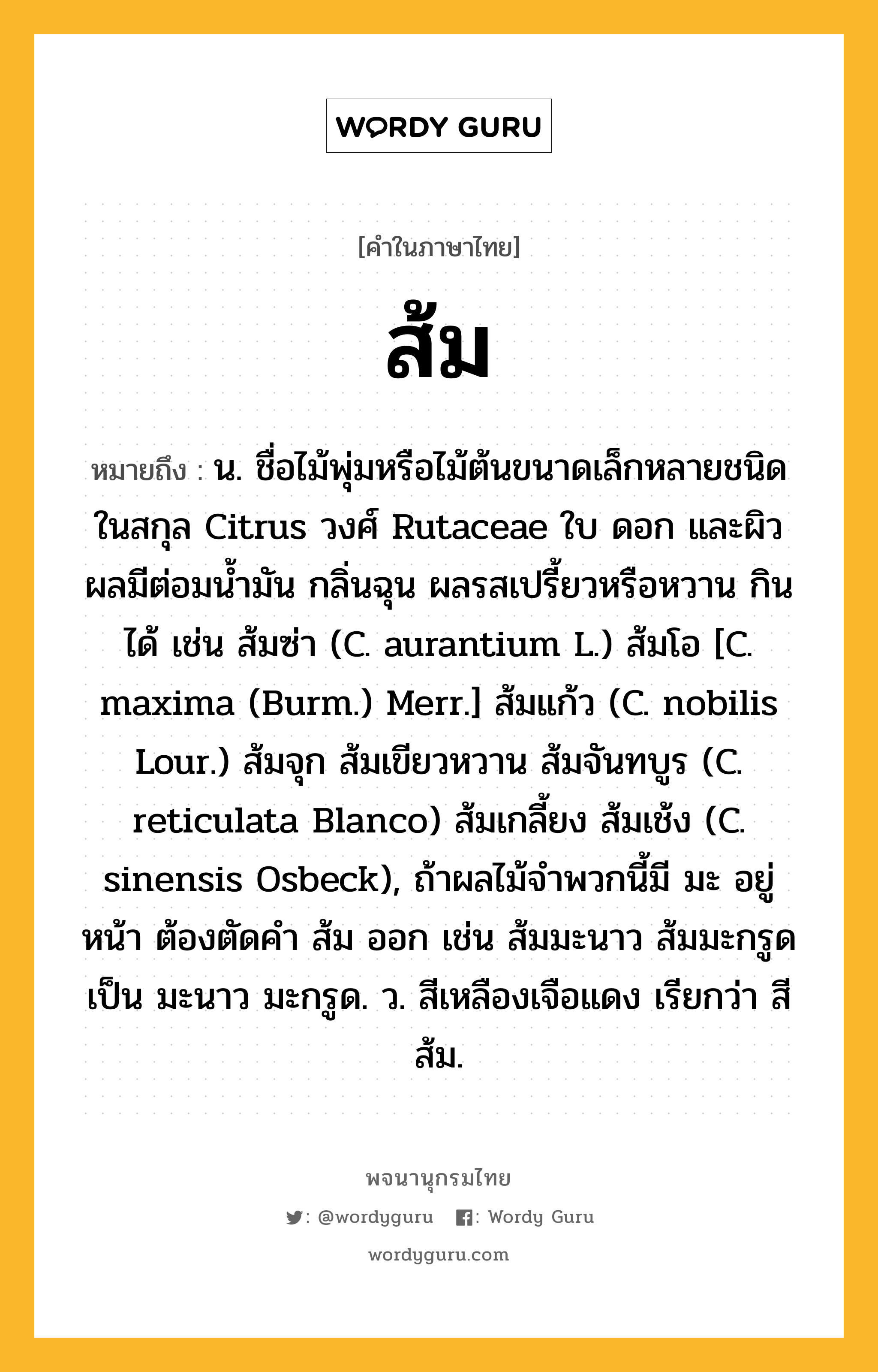 ส้ม หมายถึงอะไร?, คำในภาษาไทย ส้ม หมายถึง น. ชื่อไม้พุ่มหรือไม้ต้นขนาดเล็กหลายชนิดในสกุล Citrus วงศ์ Rutaceae ใบ ดอก และผิวผลมีต่อมนํ้ามัน กลิ่นฉุน ผลรสเปรี้ยวหรือหวาน กินได้ เช่น ส้มซ่า (C. aurantium L.) ส้มโอ [C. maxima (Burm.) Merr.] ส้มแก้ว (C. nobilis Lour.) ส้มจุก ส้มเขียวหวาน ส้มจันทบูร (C. reticulata Blanco) ส้มเกลี้ยง ส้มเช้ง (C. sinensis Osbeck), ถ้าผลไม้จําพวกนี้มี มะ อยู่หน้า ต้องตัดคํา ส้ม ออก เช่น ส้มมะนาว ส้มมะกรูด เป็น มะนาว มะกรูด. ว. สีเหลืองเจือแดง เรียกว่า สีส้ม.