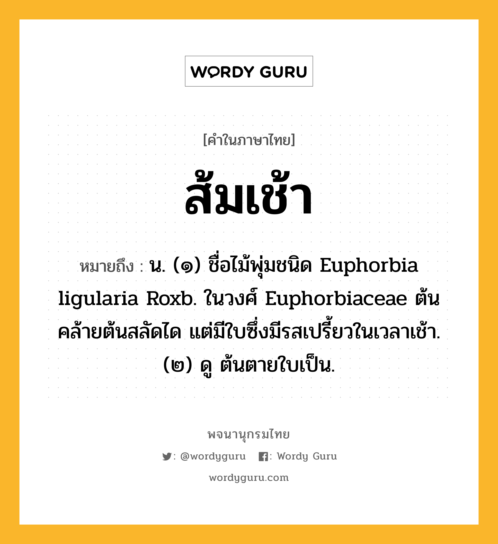 ส้มเช้า หมายถึงอะไร?, คำในภาษาไทย ส้มเช้า หมายถึง น. (๑) ชื่อไม้พุ่มชนิด Euphorbia ligularia Roxb. ในวงศ์ Euphorbiaceae ต้นคล้ายต้นสลัดได แต่มีใบซึ่งมีรสเปรี้ยวในเวลาเช้า. (๒) ดู ต้นตายใบเป็น.