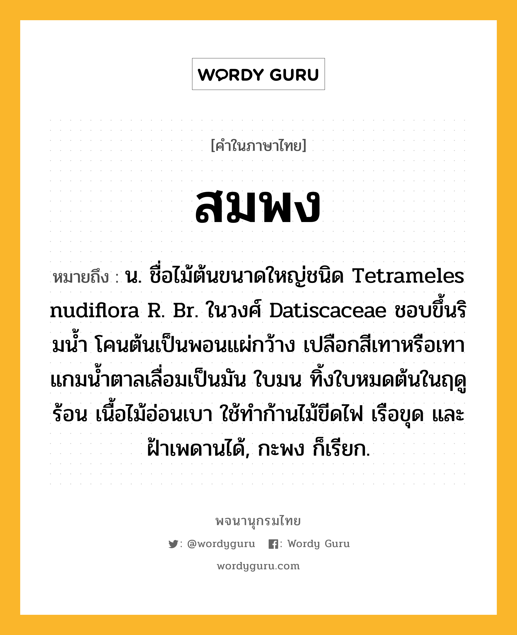 สมพง หมายถึงอะไร?, คำในภาษาไทย สมพง หมายถึง น. ชื่อไม้ต้นขนาดใหญ่ชนิด Tetrameles nudiflora R. Br. ในวงศ์ Datiscaceae ชอบขึ้นริมนํ้า โคนต้นเป็นพอนแผ่กว้าง เปลือกสีเทาหรือเทาแกมน้ำตาลเลื่อมเป็นมัน ใบมน ทิ้งใบหมดต้นในฤดูร้อน เนื้อไม้อ่อนเบา ใช้ทําก้านไม้ขีดไฟ เรือขุด และฝ้าเพดานได้, กะพง ก็เรียก.