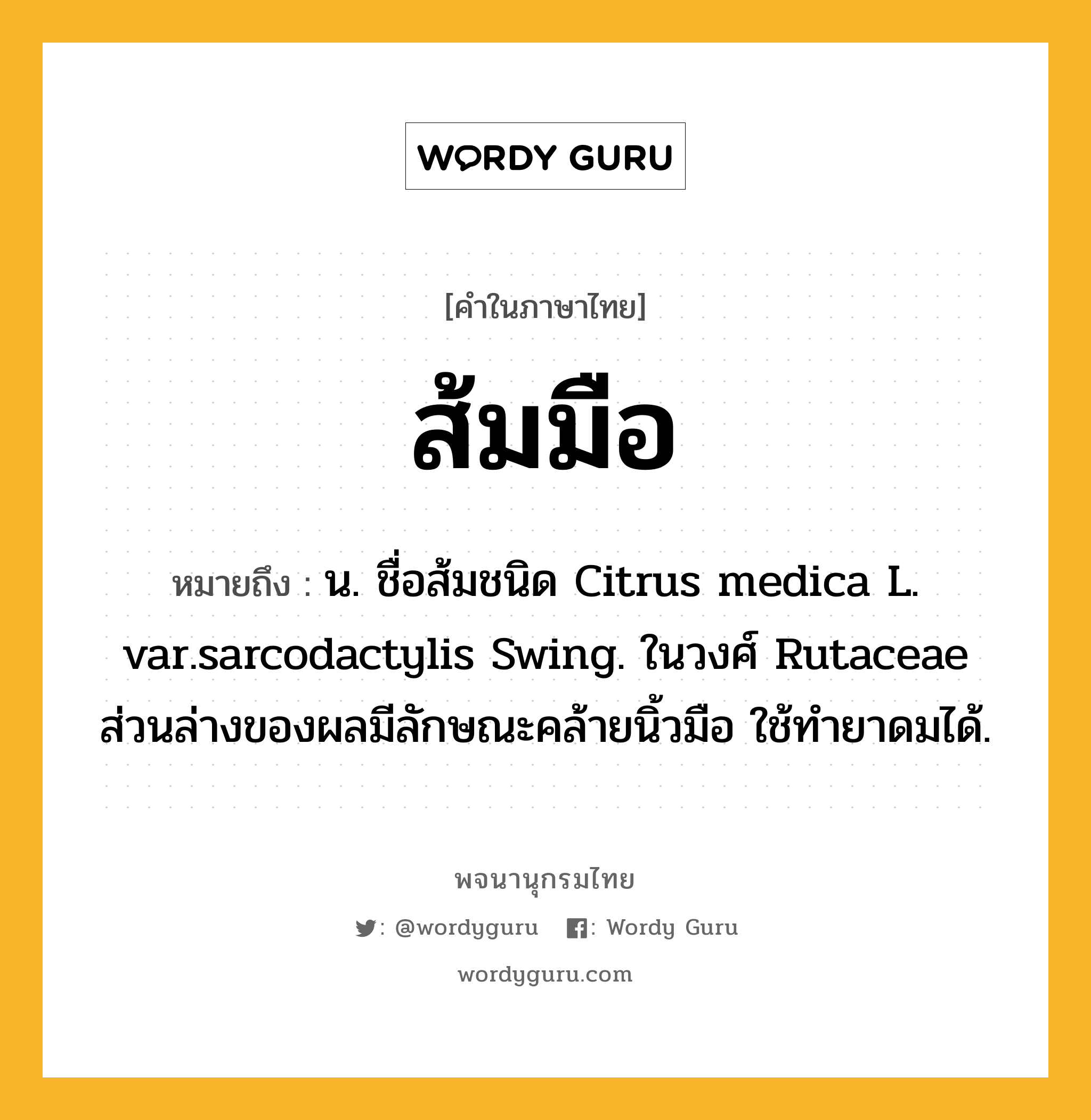 ส้มมือ ความหมาย หมายถึงอะไร?, คำในภาษาไทย ส้มมือ หมายถึง น. ชื่อส้มชนิด Citrus medica L. var.sarcodactylis Swing. ในวงศ์ Rutaceae ส่วนล่างของผลมีลักษณะคล้ายนิ้วมือ ใช้ทํายาดมได้.