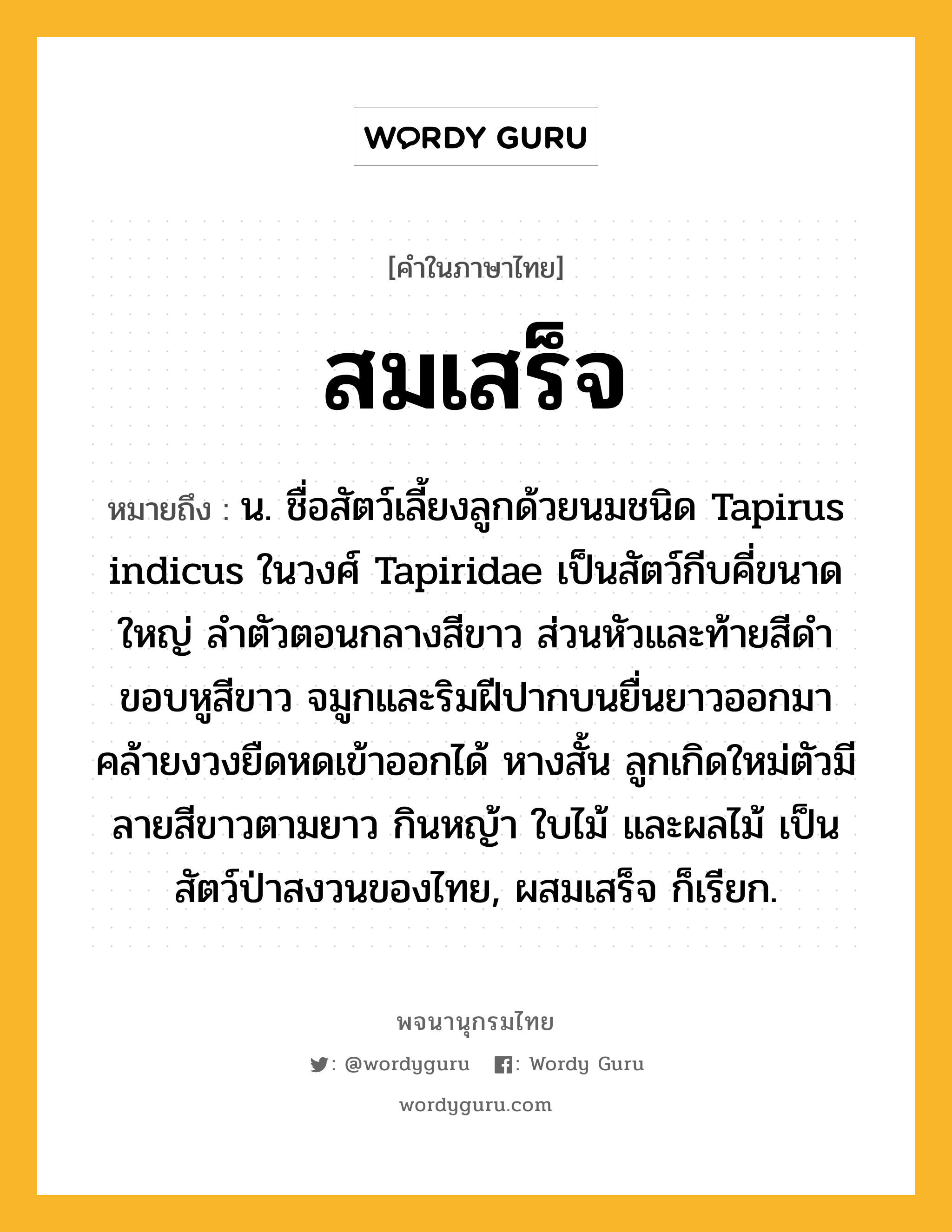 สมเสร็จ หมายถึงอะไร?, คำในภาษาไทย สมเสร็จ หมายถึง น. ชื่อสัตว์เลี้ยงลูกด้วยนมชนิด Tapirus indicus ในวงศ์ Tapiridae เป็นสัตว์กีบคี่ขนาดใหญ่ ลําตัวตอนกลางสีขาว ส่วนหัวและท้ายสีดํา ขอบหูสีขาว จมูกและริมฝีปากบนยื่นยาวออกมาคล้ายงวงยืดหดเข้าออกได้ หางสั้น ลูกเกิดใหม่ตัวมีลายสีขาวตามยาว กินหญ้า ใบไม้ และผลไม้ เป็นสัตว์ป่าสงวนของไทย, ผสมเสร็จ ก็เรียก.