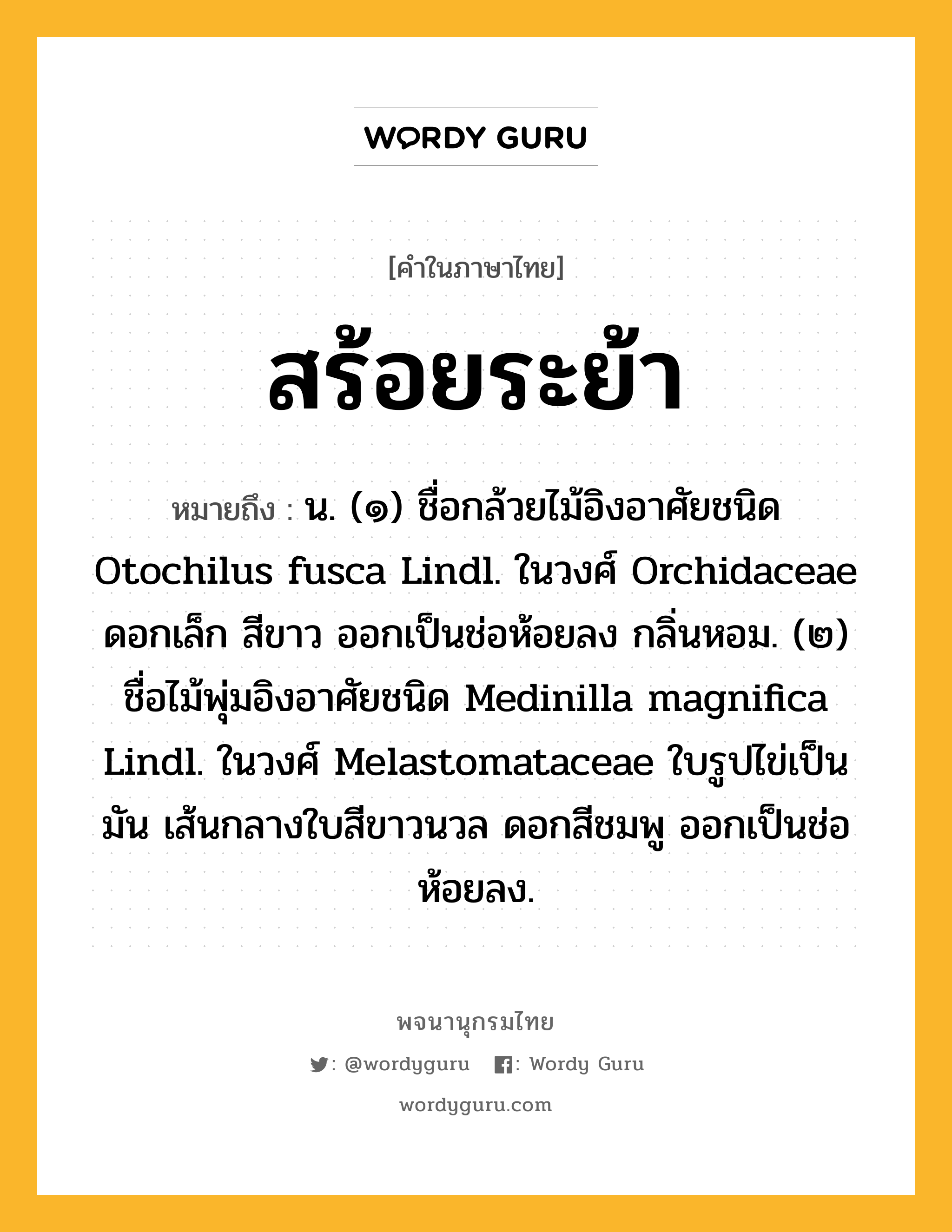 สร้อยระย้า หมายถึงอะไร?, คำในภาษาไทย สร้อยระย้า หมายถึง น. (๑) ชื่อกล้วยไม้อิงอาศัยชนิด Otochilus fusca Lindl. ในวงศ์ Orchidaceae ดอกเล็ก สีขาว ออกเป็นช่อห้อยลง กลิ่นหอม. (๒) ชื่อไม้พุ่มอิงอาศัยชนิด Medinilla magnifica Lindl. ในวงศ์ Melastomataceae ใบรูปไข่เป็นมัน เส้นกลางใบสีขาวนวล ดอกสีชมพู ออกเป็นช่อห้อยลง.