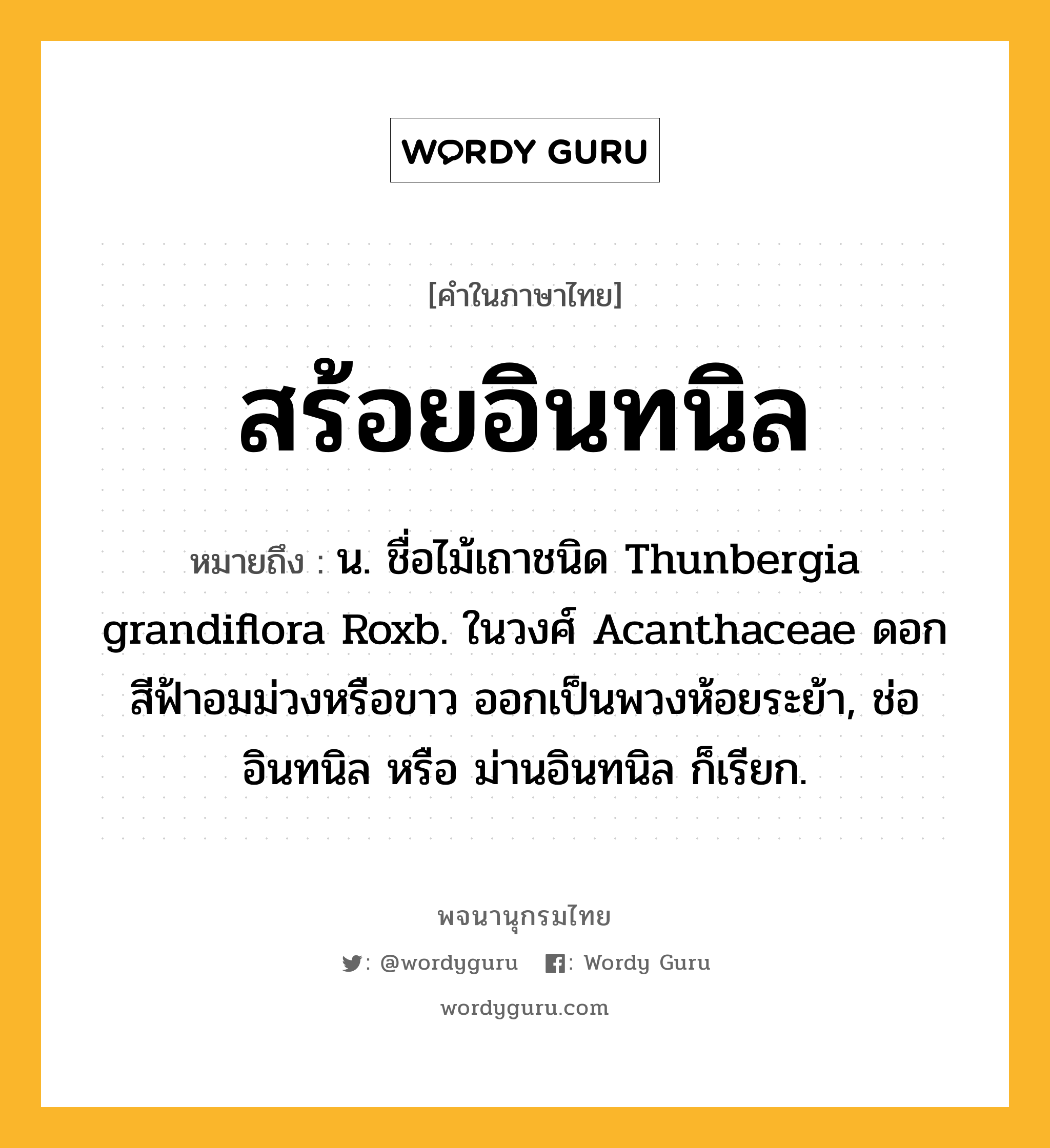 สร้อยอินทนิล ความหมาย หมายถึงอะไร?, คำในภาษาไทย สร้อยอินทนิล หมายถึง น. ชื่อไม้เถาชนิด Thunbergia grandiflora Roxb. ในวงศ์ Acanthaceae ดอกสีฟ้าอมม่วงหรือขาว ออกเป็นพวงห้อยระย้า, ช่ออินทนิล หรือ ม่านอินทนิล ก็เรียก.