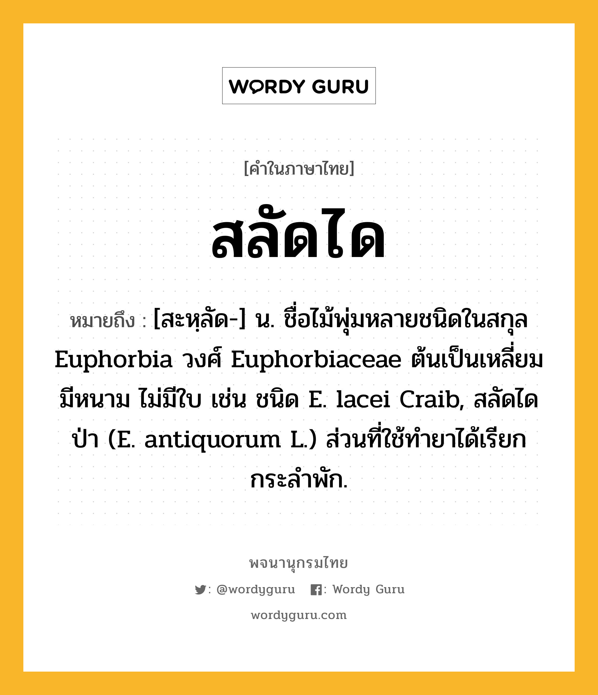 สลัดได หมายถึงอะไร?, คำในภาษาไทย สลัดได หมายถึง [สะหฺลัด-] น. ชื่อไม้พุ่มหลายชนิดในสกุล Euphorbia วงศ์ Euphorbiaceae ต้นเป็นเหลี่ยม มีหนาม ไม่มีใบ เช่น ชนิด E. lacei Craib, สลัดไดป่า (E. antiquorum L.) ส่วนที่ใช้ทํายาได้เรียก กระลําพัก.