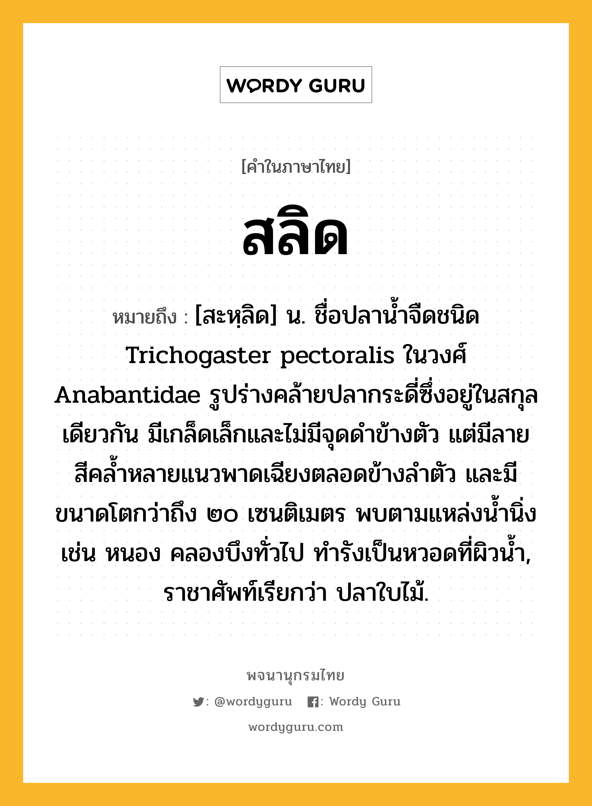 สลิด หมายถึงอะไร?, คำในภาษาไทย สลิด หมายถึง [สะหฺลิด] น. ชื่อปลานํ้าจืดชนิด Trichogaster pectoralis ในวงศ์ Anabantidae รูปร่างคล้ายปลากระดี่ซึ่งอยู่ในสกุลเดียวกัน มีเกล็ดเล็กและไม่มีจุดดําข้างตัว แต่มีลายสีคลํ้าหลายแนวพาดเฉียงตลอดข้างลําตัว และมีขนาดโตกว่าถึง ๒๐ เซนติเมตร พบตามแหล่งนํ้านิ่ง เช่น หนอง คลองบึงทั่วไป ทํารังเป็นหวอดที่ผิวนํ้า, ราชาศัพท์เรียกว่า ปลาใบไม้.