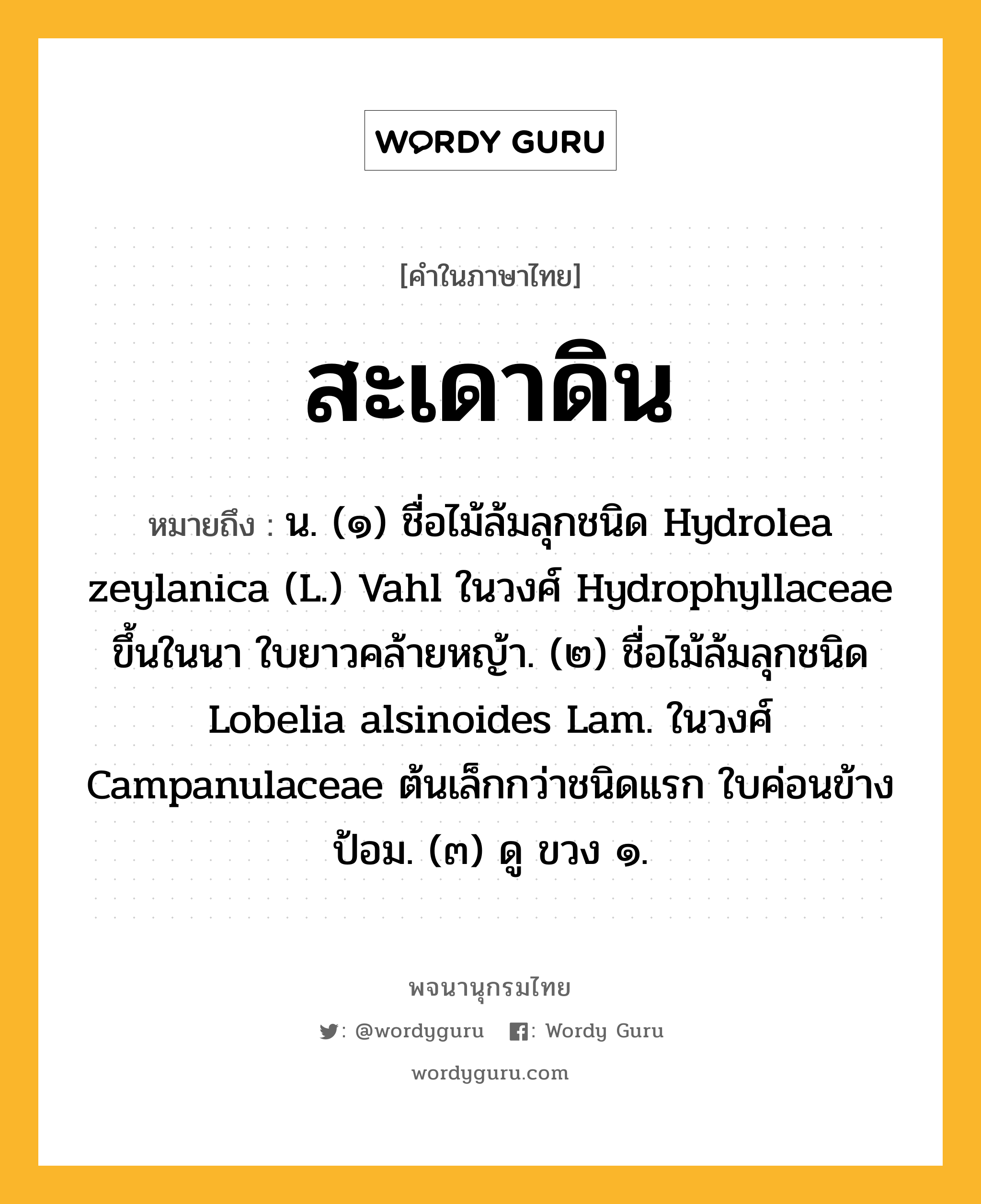 สะเดาดิน หมายถึงอะไร?, คำในภาษาไทย สะเดาดิน หมายถึง น. (๑) ชื่อไม้ล้มลุกชนิด Hydrolea zeylanica (L.) Vahl ในวงศ์ Hydrophyllaceae ขึ้นในนา ใบยาวคล้ายหญ้า. (๒) ชื่อไม้ล้มลุกชนิด Lobelia alsinoides Lam. ในวงศ์ Campanulaceae ต้นเล็กกว่าชนิดแรก ใบค่อนข้างป้อม. (๓) ดู ขวง ๑.