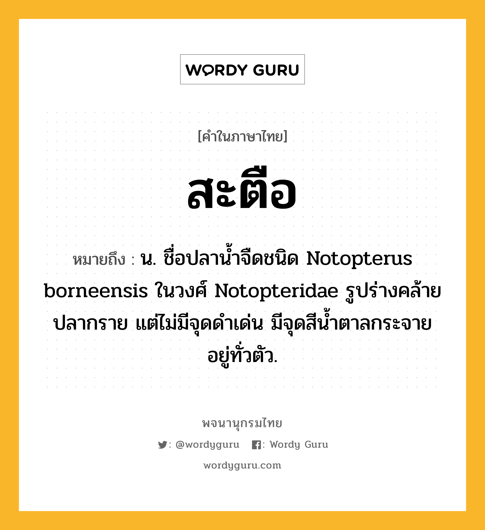 สะตือ ความหมาย หมายถึงอะไร?, คำในภาษาไทย สะตือ หมายถึง น. ชื่อปลานํ้าจืดชนิด Notopterus borneensis ในวงศ์ Notopteridae รูปร่างคล้ายปลากราย แต่ไม่มีจุดดําเด่น มีจุดสีนํ้าตาลกระจายอยู่ทั่วตัว.