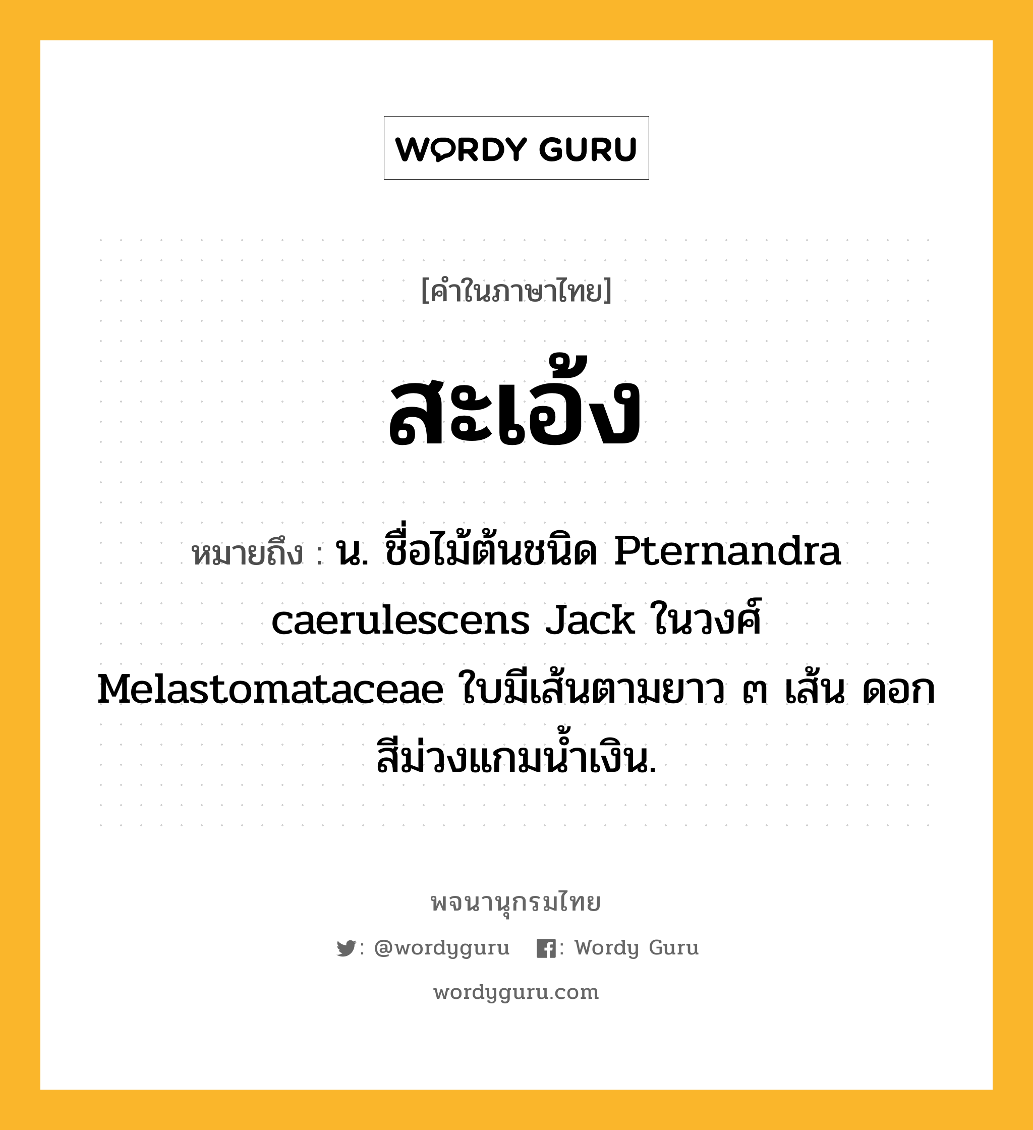 สะเอ้ง หมายถึงอะไร?, คำในภาษาไทย สะเอ้ง หมายถึง น. ชื่อไม้ต้นชนิด Pternandra caerulescens Jack ในวงศ์ Melastomataceae ใบมีเส้นตามยาว ๓ เส้น ดอกสีม่วงแกมน้ำเงิน.