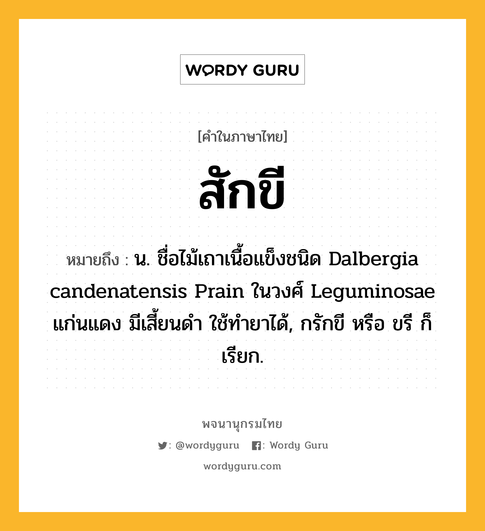 สักขี หมายถึงอะไร?, คำในภาษาไทย สักขี หมายถึง น. ชื่อไม้เถาเนื้อแข็งชนิด Dalbergia candenatensis Prain ในวงศ์ Leguminosae แก่นแดง มีเสี้ยนดํา ใช้ทํายาได้, กรักขี หรือ ขรี ก็เรียก.