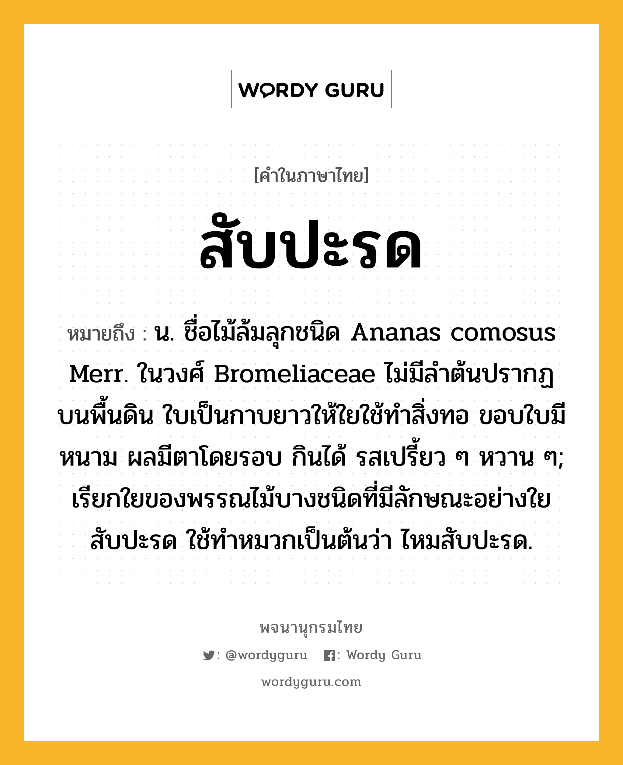 สับปะรด หมายถึงอะไร?, คำในภาษาไทย สับปะรด หมายถึง น. ชื่อไม้ล้มลุกชนิด Ananas comosus Merr. ในวงศ์ Bromeliaceae ไม่มีลําต้นปรากฏบนพื้นดิน ใบเป็นกาบยาวให้ใยใช้ทําสิ่งทอ ขอบใบมีหนาม ผลมีตาโดยรอบ กินได้ รสเปรี้ยว ๆ หวาน ๆ; เรียกใยของพรรณไม้บางชนิดที่มีลักษณะอย่างใยสับปะรด ใช้ทำหมวกเป็นต้นว่า ไหมสับปะรด.