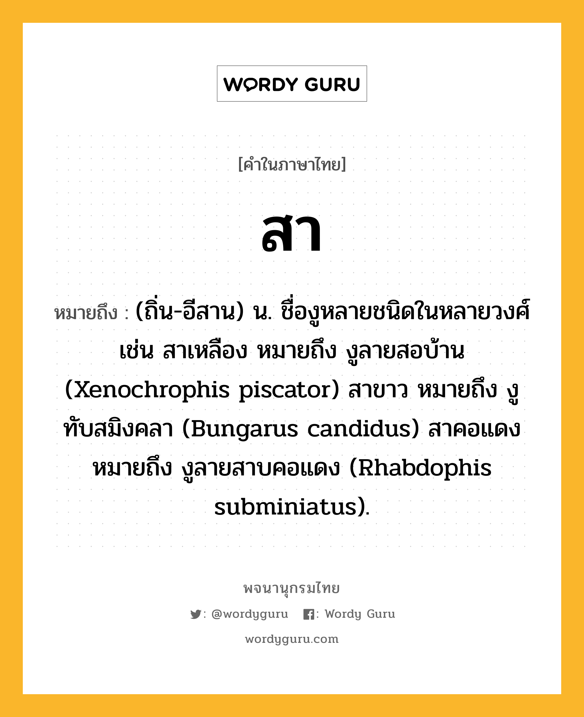 สา หมายถึงอะไร?, คำในภาษาไทย สา หมายถึง (ถิ่น-อีสาน) น. ชื่องูหลายชนิดในหลายวงศ์ เช่น สาเหลือง หมายถึง งูลายสอบ้าน (Xenochrophis piscator) สาขาว หมายถึง งูทับสมิงคลา (Bungarus candidus) สาคอแดง หมายถึง งูลายสาบคอแดง (Rhabdophis subminiatus).