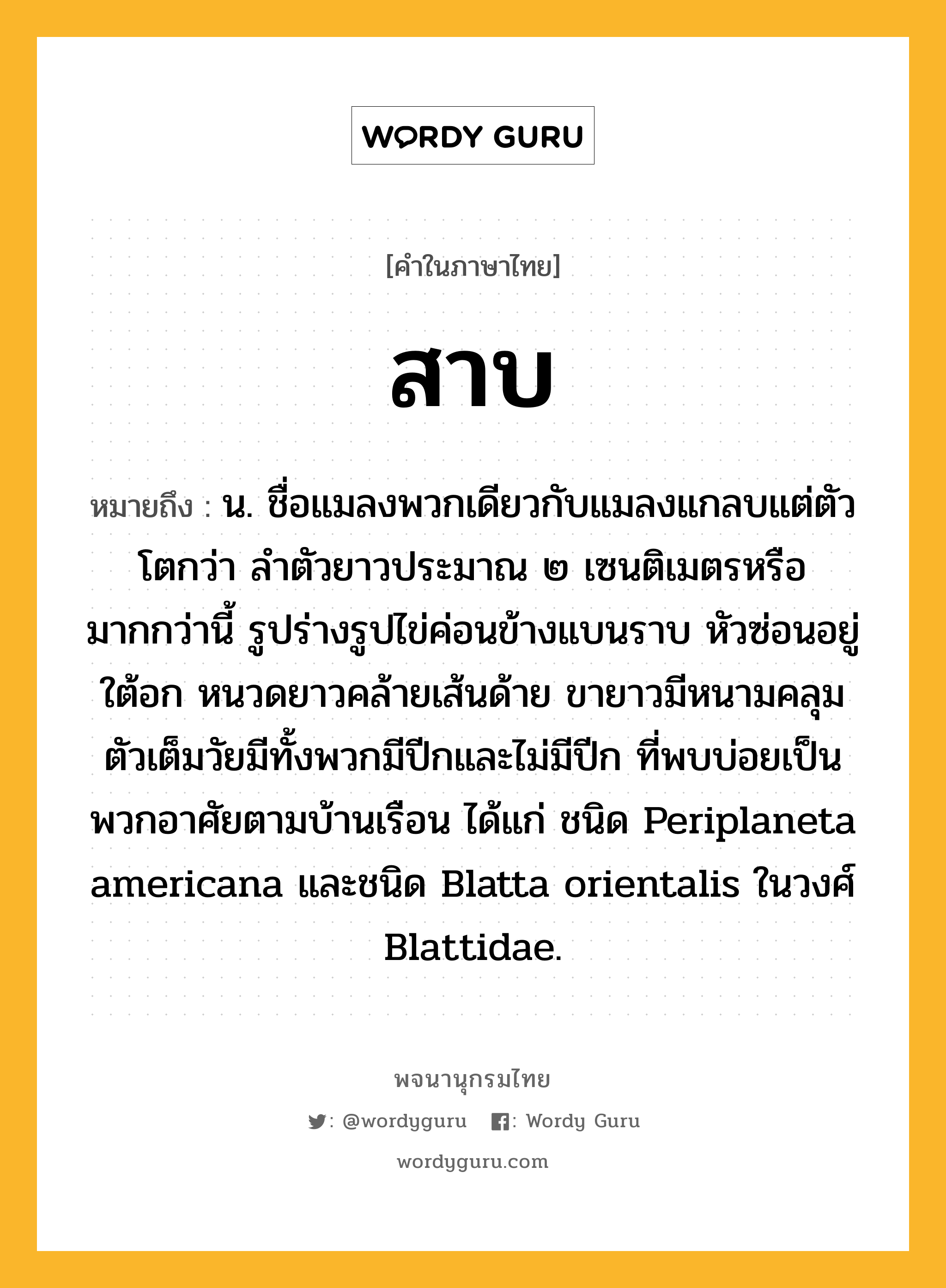 สาบ หมายถึงอะไร?, คำในภาษาไทย สาบ หมายถึง น. ชื่อแมลงพวกเดียวกับแมลงแกลบแต่ตัวโตกว่า ลําตัวยาวประมาณ ๒ เซนติเมตรหรือมากกว่านี้ รูปร่างรูปไข่ค่อนข้างแบนราบ หัวซ่อนอยู่ใต้อก หนวดยาวคล้ายเส้นด้าย ขายาวมีหนามคลุม ตัวเต็มวัยมีทั้งพวกมีปีกและไม่มีปีก ที่พบบ่อยเป็นพวกอาศัยตามบ้านเรือน ได้แก่ ชนิด Periplaneta americana และชนิด Blatta orientalis ในวงศ์ Blattidae.