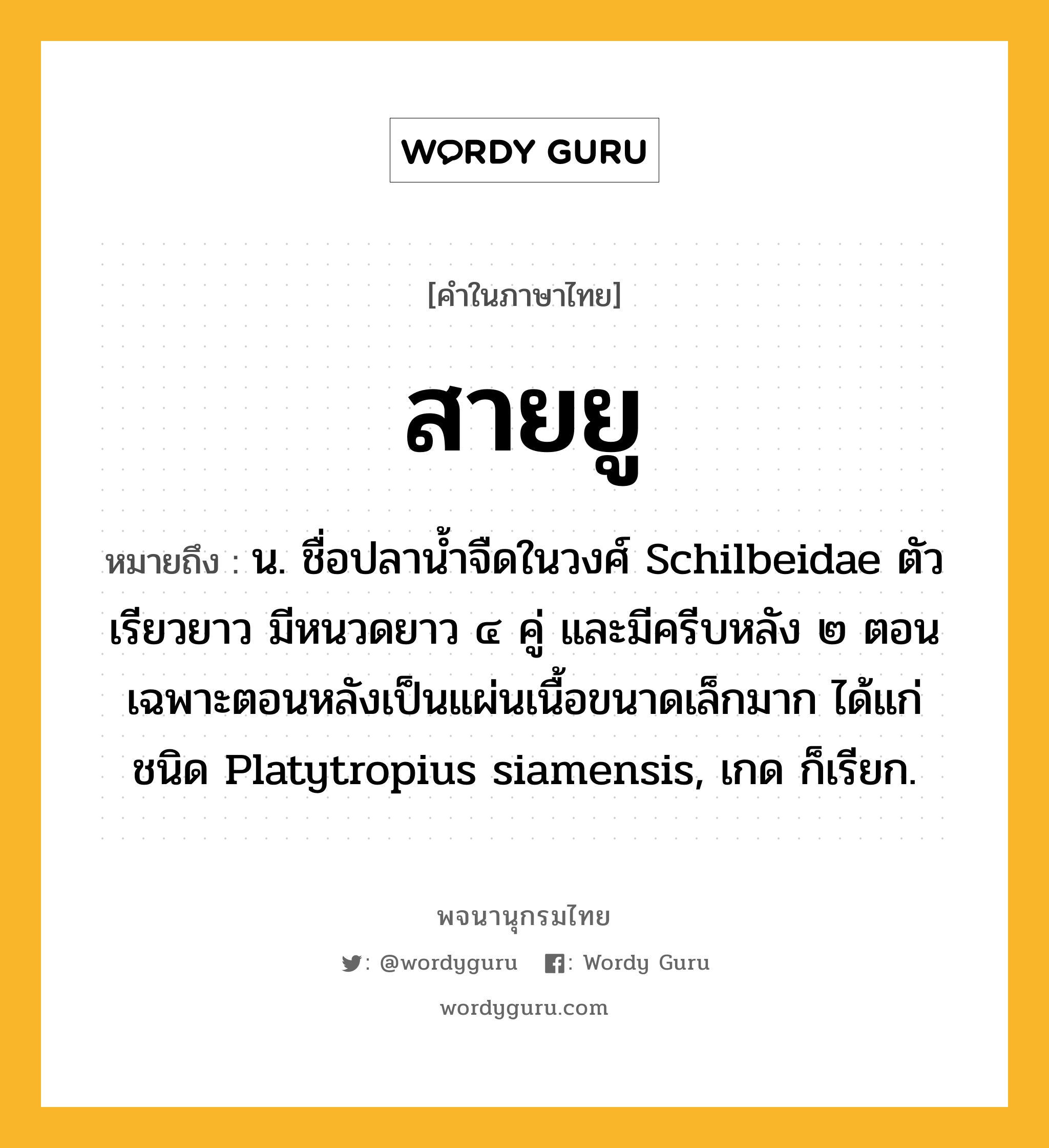 สายยู หมายถึงอะไร?, คำในภาษาไทย สายยู หมายถึง น. ชื่อปลาน้ำจืดในวงศ์ Schilbeidae ตัวเรียวยาว มีหนวดยาว ๔ คู่ และมีครีบหลัง ๒ ตอน เฉพาะตอนหลังเป็นแผ่นเนื้อขนาดเล็กมาก ได้แก่ ชนิด Platytropius siamensis, เกด ก็เรียก.