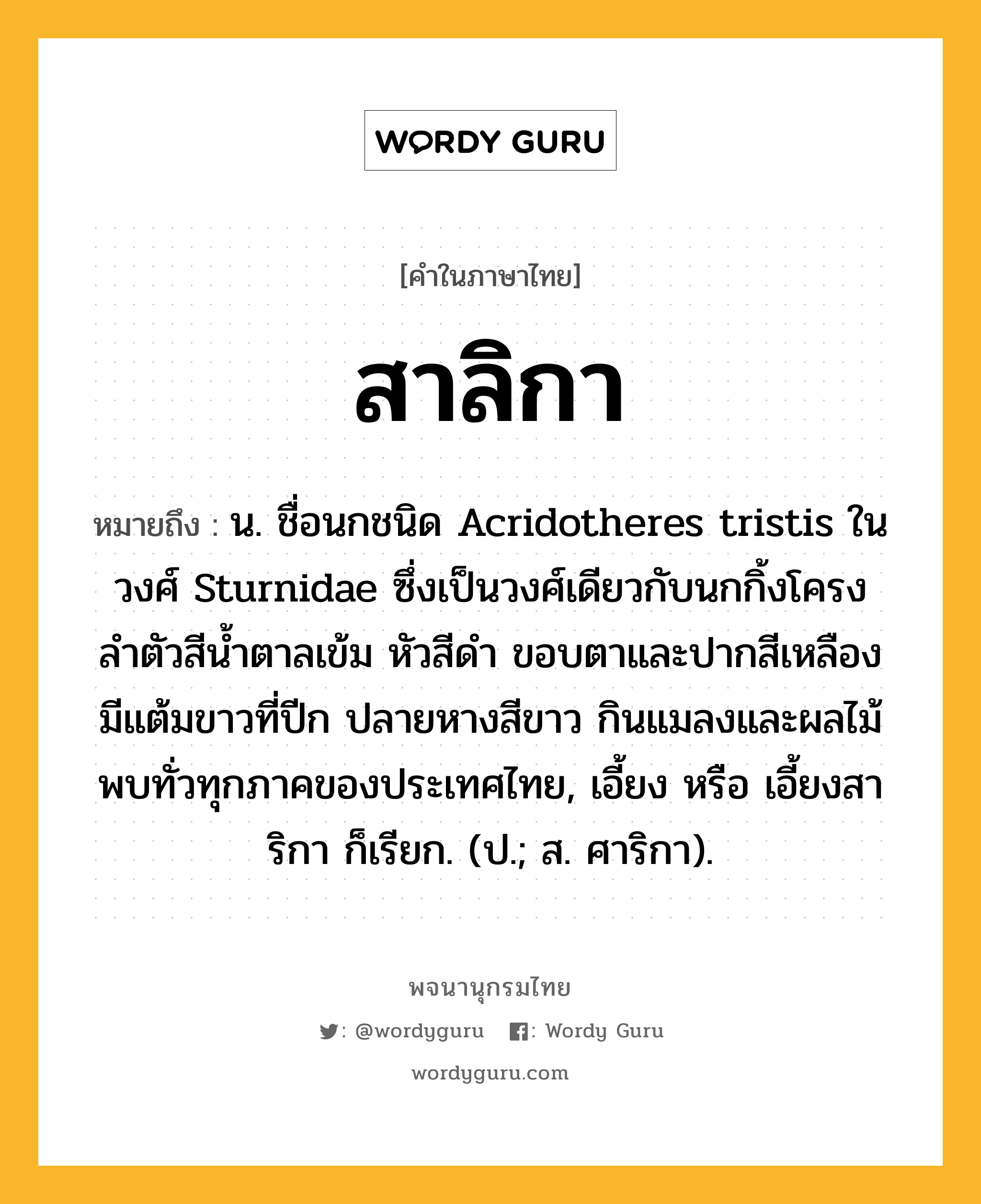 สาลิกา หมายถึงอะไร?, คำในภาษาไทย สาลิกา หมายถึง น. ชื่อนกชนิด Acridotheres tristis ในวงศ์ Sturnidae ซึ่งเป็นวงศ์เดียวกับนกกิ้งโครง ลําตัวสีนํ้าตาลเข้ม หัวสีดํา ขอบตาและปากสีเหลือง มีแต้มขาวที่ปีก ปลายหางสีขาว กินแมลงและผลไม้ พบทั่วทุกภาคของประเทศไทย, เอี้ยง หรือ เอี้ยงสาริกา ก็เรียก. (ป.; ส. ศาริกา).