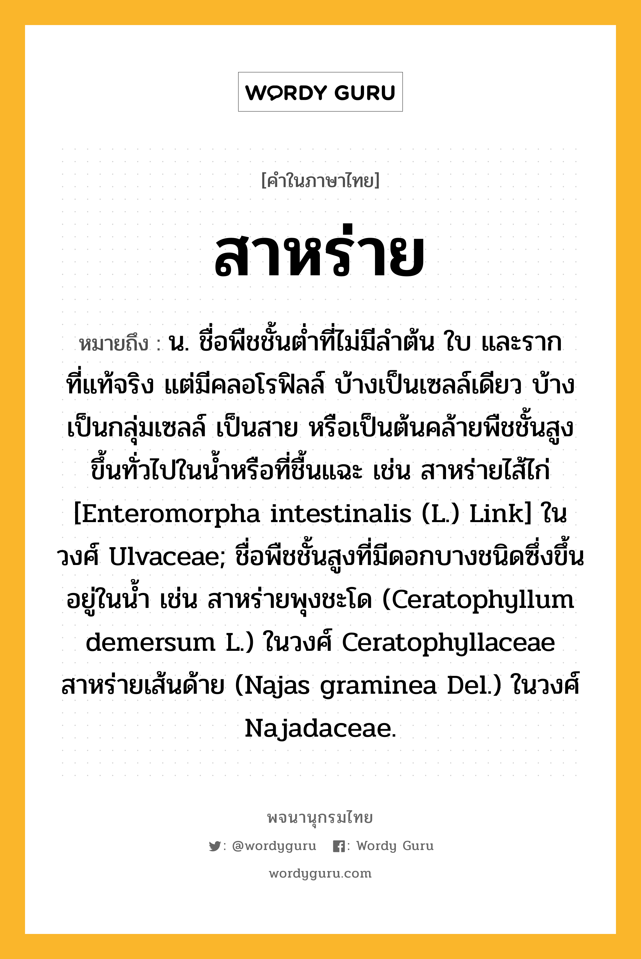 สาหร่าย หมายถึงอะไร?, คำในภาษาไทย สาหร่าย หมายถึง น. ชื่อพืชชั้นตํ่าที่ไม่มีลําต้น ใบ และรากที่แท้จริง แต่มีคลอโรฟิลล์ บ้างเป็นเซลล์เดียว บ้างเป็นกลุ่มเซลล์ เป็นสาย หรือเป็นต้นคล้ายพืชชั้นสูง ขึ้นทั่วไปในนํ้าหรือที่ชื้นแฉะ เช่น สาหร่ายไส้ไก่ [Enteromorpha intestinalis (L.) Link] ในวงศ์ Ulvaceae; ชื่อพืชชั้นสูงที่มีดอกบางชนิดซึ่งขึ้นอยู่ในนํ้า เช่น สาหร่ายพุงชะโด (Ceratophyllum demersum L.) ในวงศ์ Ceratophyllaceae สาหร่ายเส้นด้าย (Najas graminea Del.) ในวงศ์ Najadaceae.